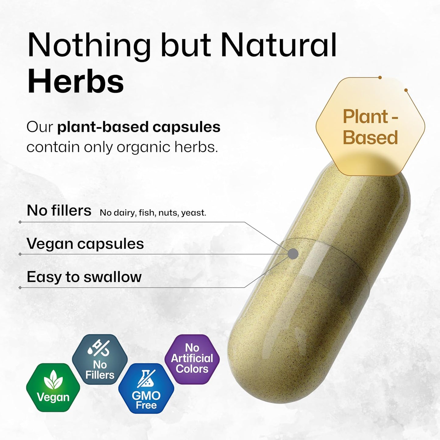 Ginkgo Biloba Tincture and Brain Support Capsules Set - 2 Fl. Oz. Tincture, 100 Capsules