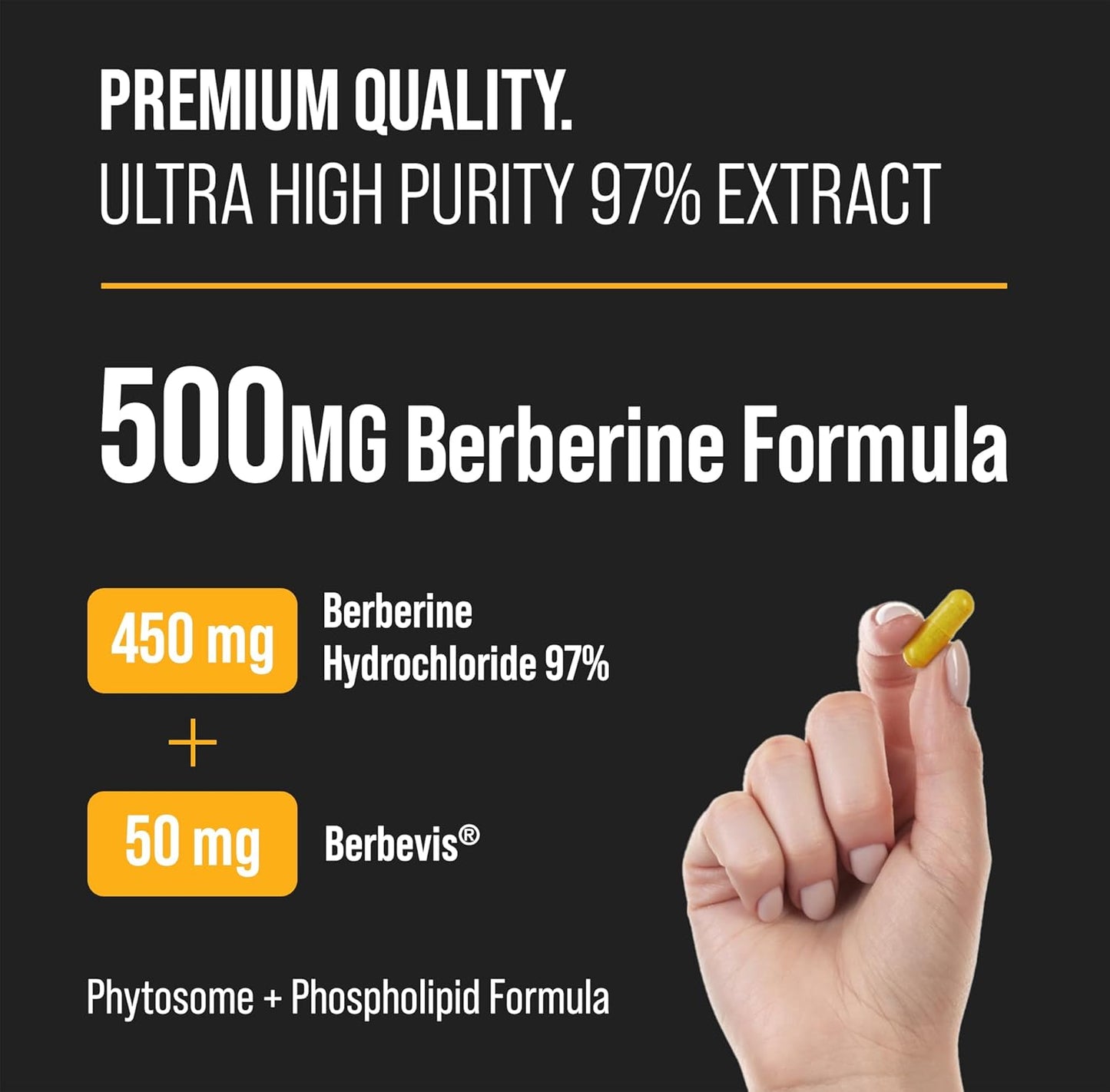 Ginseng and Berberine for Energy and Metabolic Support by NutraChamps