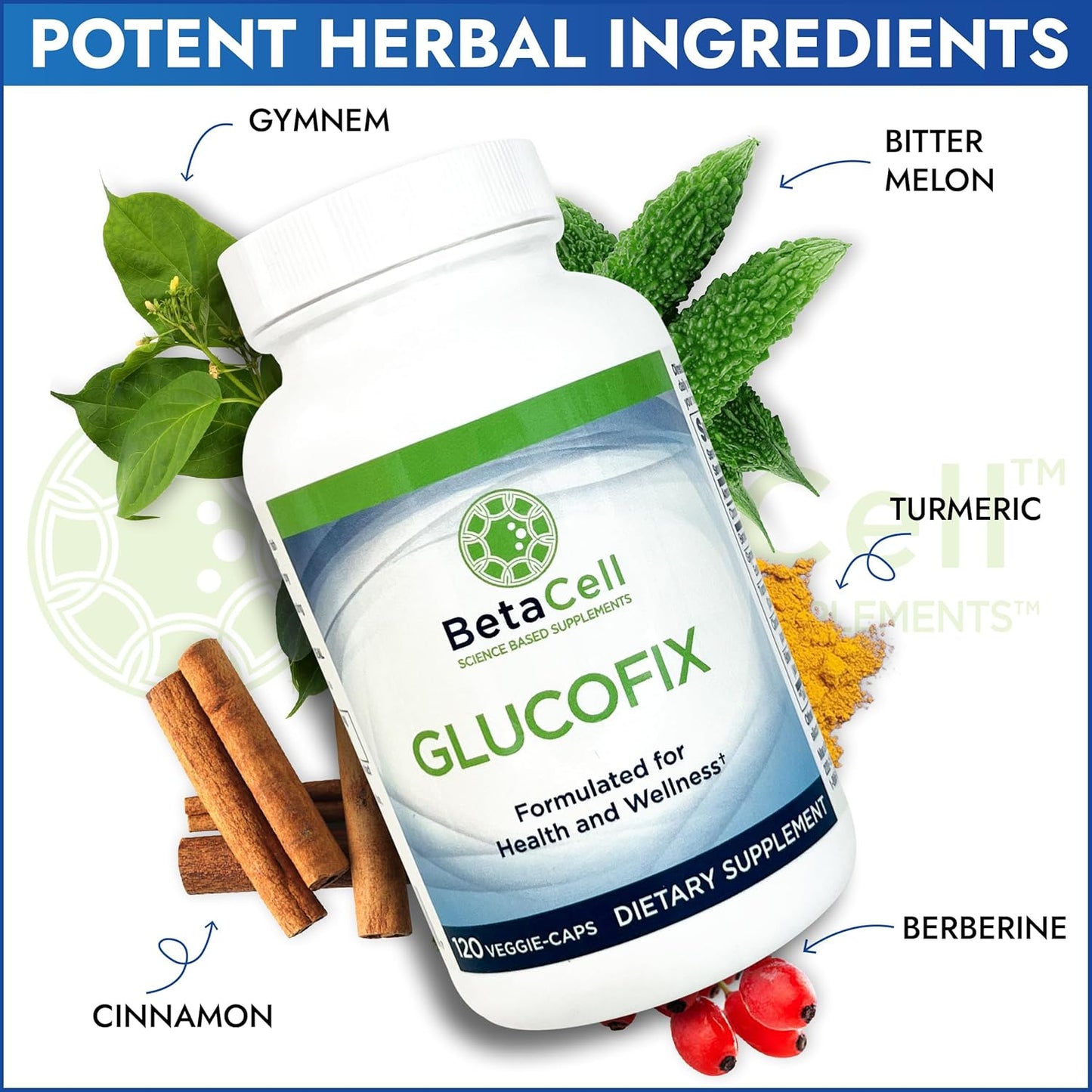 Glucofix Herbal Supplement with Berberine, Cinnamon, Gymnema - 120 Capsules