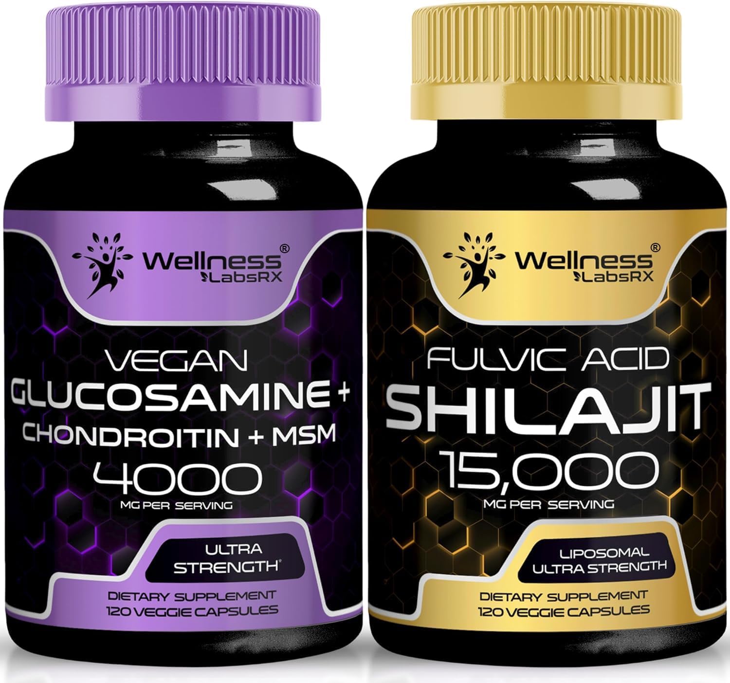 Glucosamine Chondroitin MSM with Shilajit Capsules by WELLNESS LABSRX
