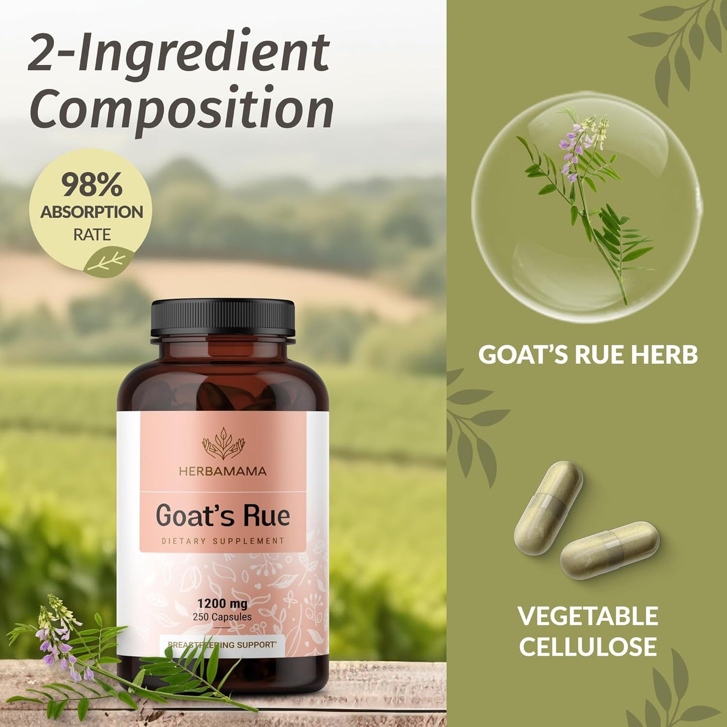 Goat's Rue and Lemon Balm Kit - 1200mg Capsules & 4 fl oz Liquid Drops Bundle - Vegan, Non-GMO, Sugar & Alcohol-Free - 2 Pack