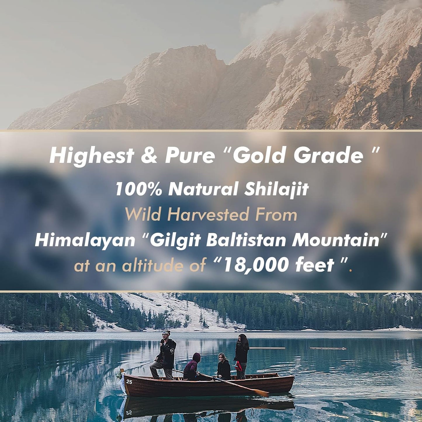 Gold Grade Hima Shilajatu Shilajit Resin - 100% Pure Himalayan Shilajit with Fulvic Acid & 85+ Trace Minerals Complex - Energy & Immune Support - Pack of 3 (6 Months)