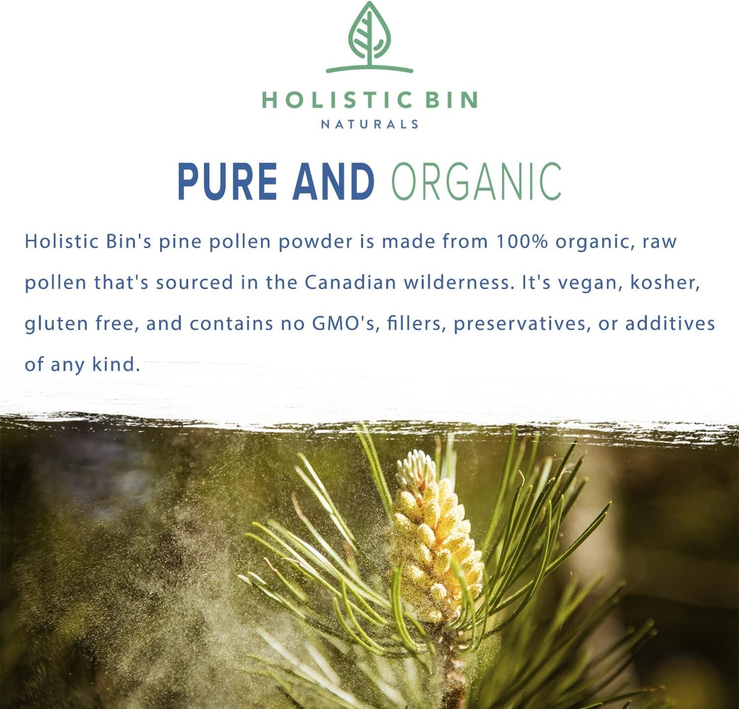 Golden Canadian Pine Pollen Powder - 20g Pure Supplement, Wild Harvested from Lodgepole Pine Tree | Non GMO, Pharmaceutical Grade Organic Pollen