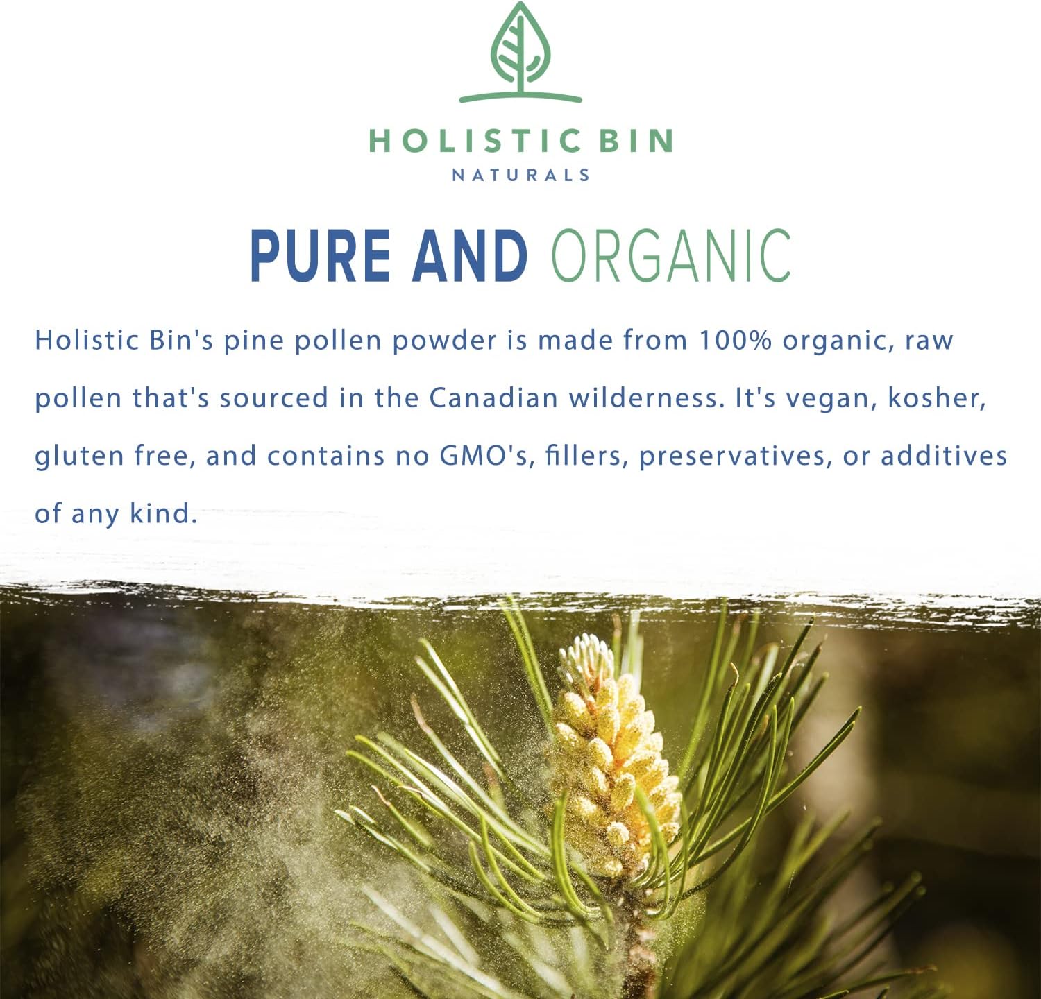 Golden Canadian Pine Pollen Powder - 20g Pure Supplement, Wild Harvested from Lodgepole Pine Tree | Non GMO, Pharmaceutical Grade Organic Pollen