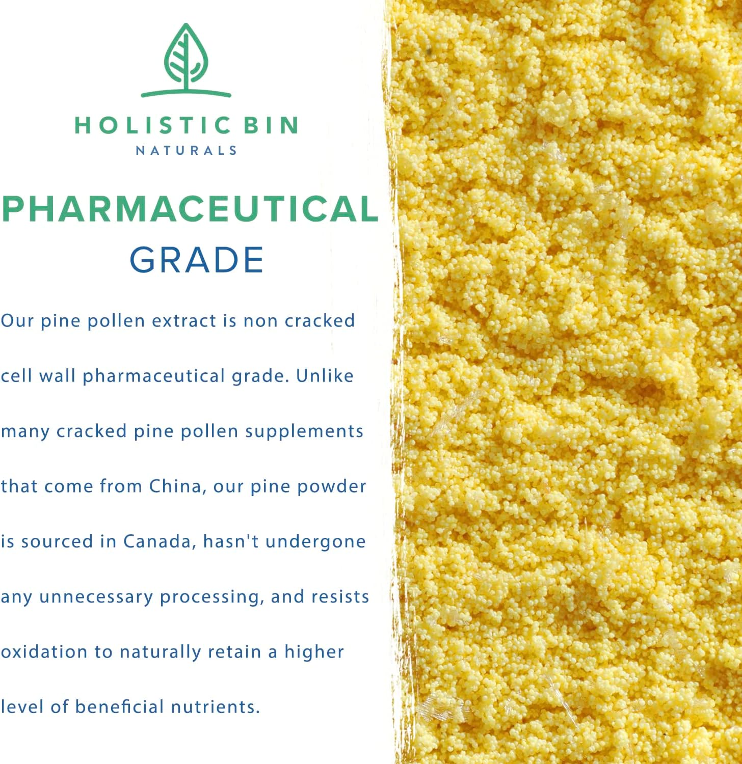 Golden Canadian Ponderosa Pine Pollen Powder - 20g Organic Supplement