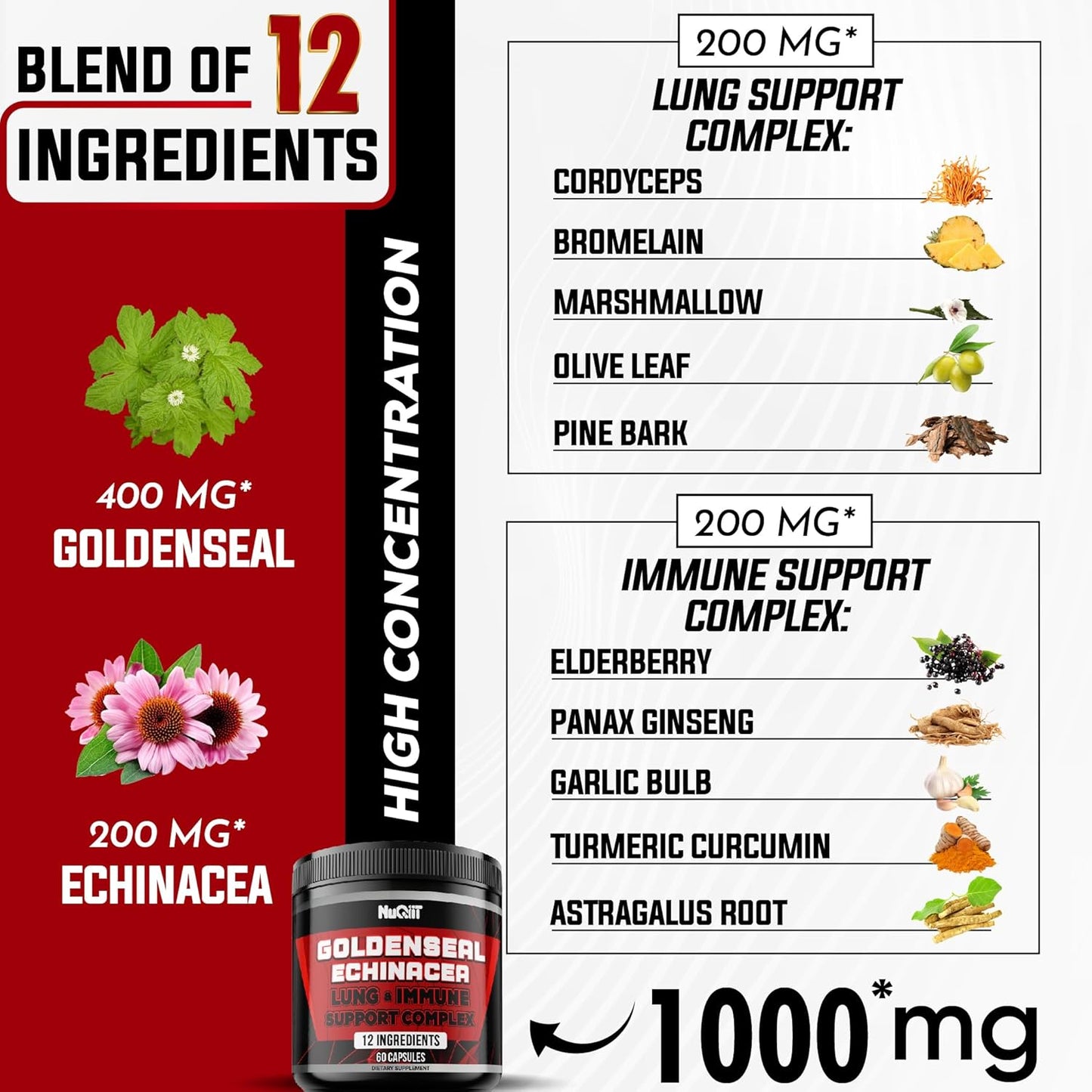 Goldenseal Root Capsules with Echinacea, Ginseng, Elderberry, Garlic - 60 Capsules for Immune Support & Digestive Health
