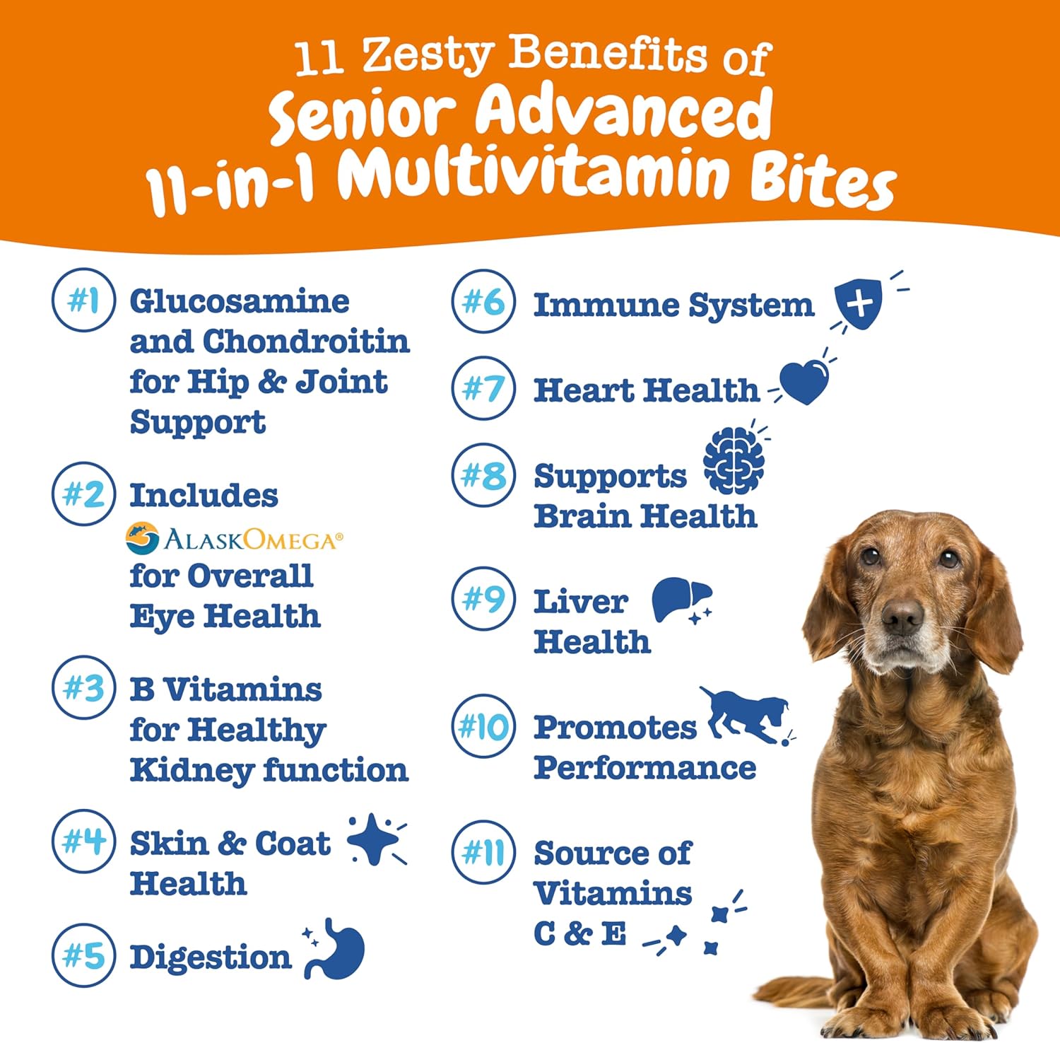 Grain-Free Dog Multivitamin Treats with Glucosamine Chondroitin, Digestive Enzymes, and Probiotics for Joint, Skin, Coat, and Immune Health - Chicken Flavor - 60ct