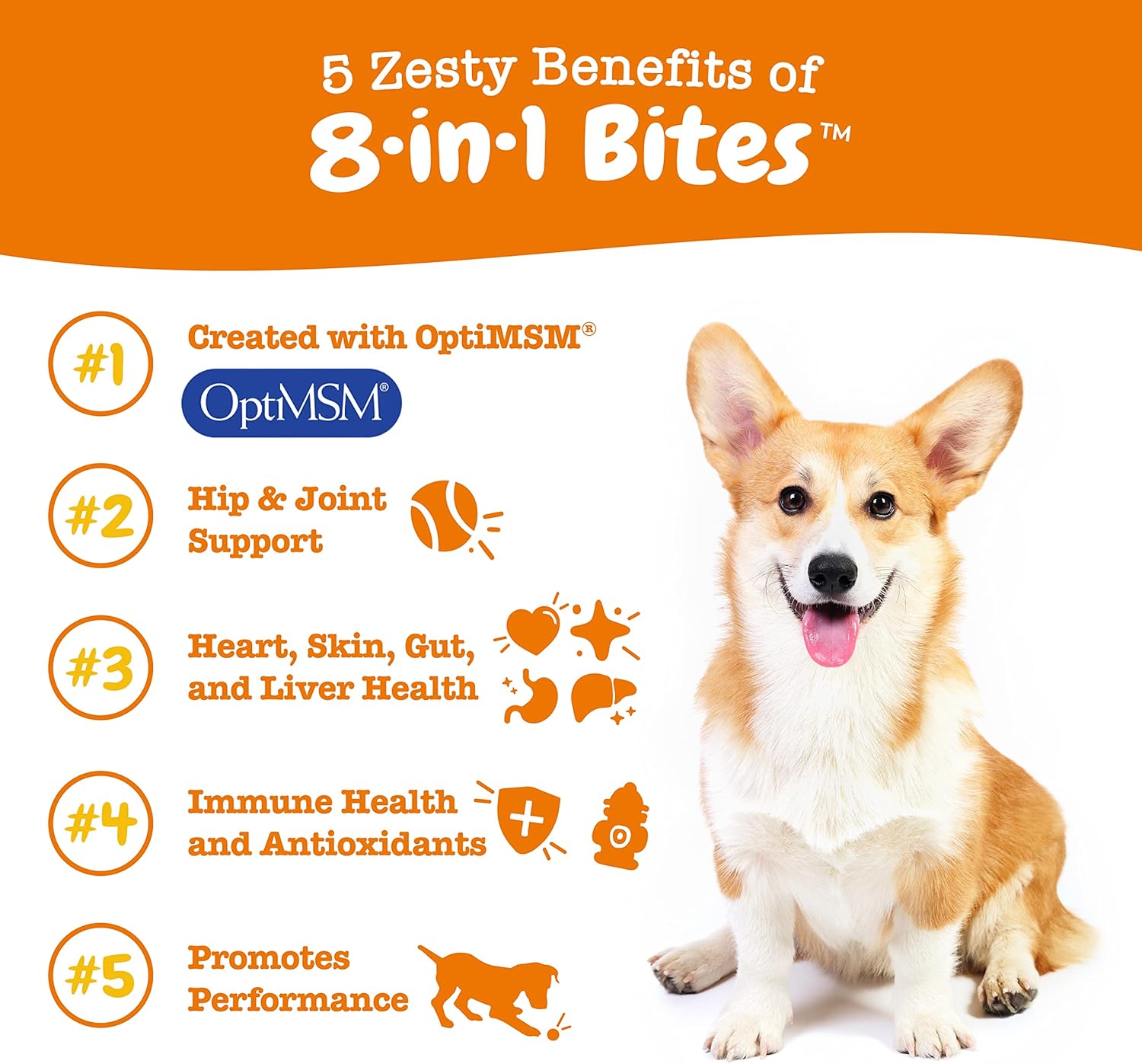 Grain Free Dog Multivitamin Treats with Glucosamine Chondroitin, Probiotics, and Enzymes for Joint, Skin, Coat, and Immune Health - 50 Count