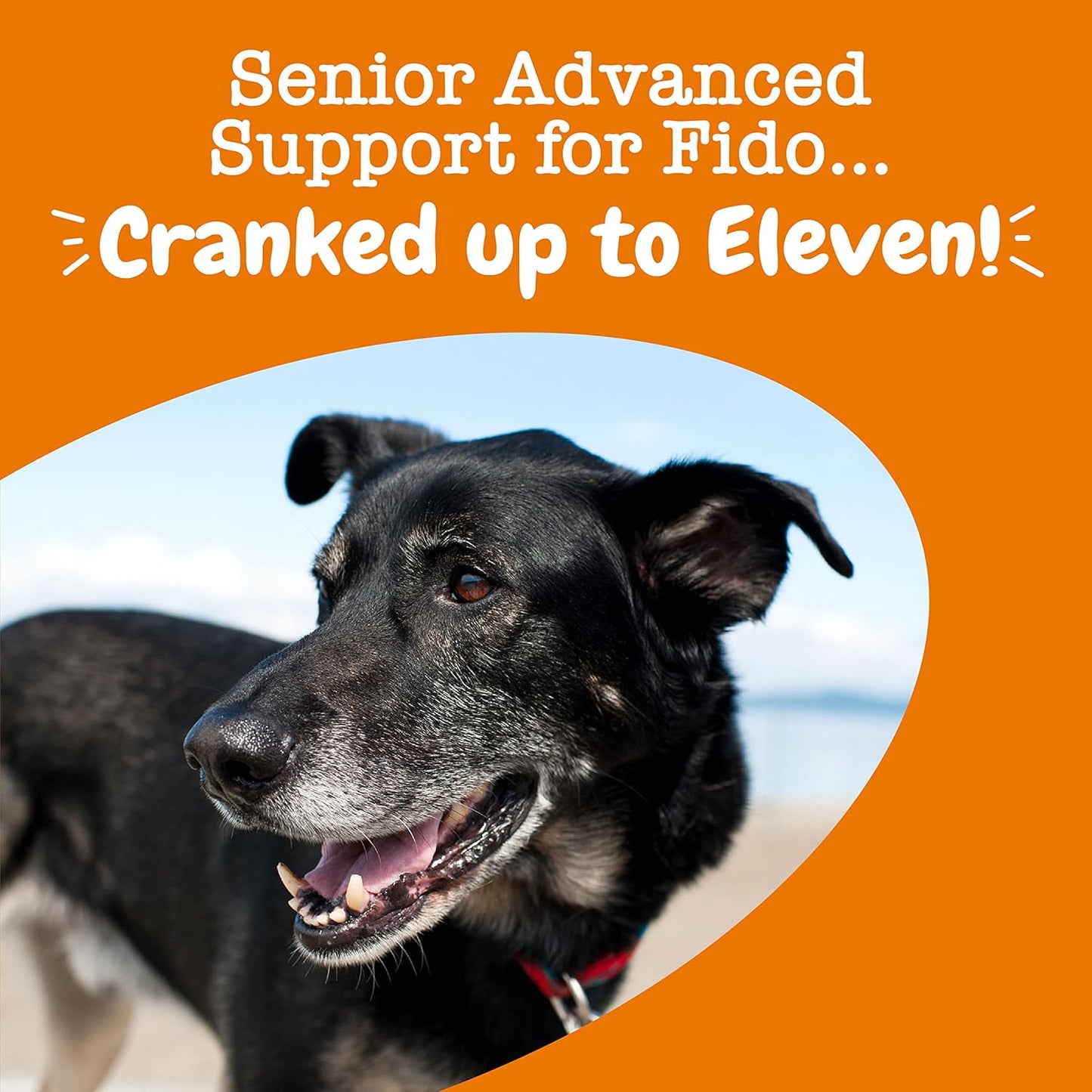 Grain-Free Dog Multivitamin Treats with Glucosamine Chondroitin, Digestive Enzymes, and Probiotics for Joint, Skin, Coat, and Immune Health - Chicken Flavor - 60ct