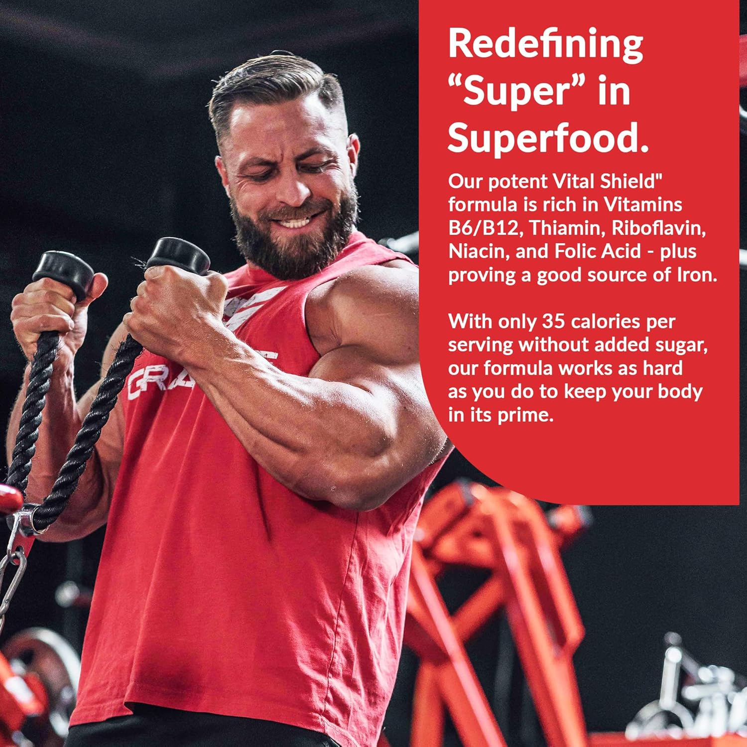 Granite Supplements Vital Shield Very Berry Greens Superfood Powder - Performance, Gut Health, Immunity Support (30 Servings)