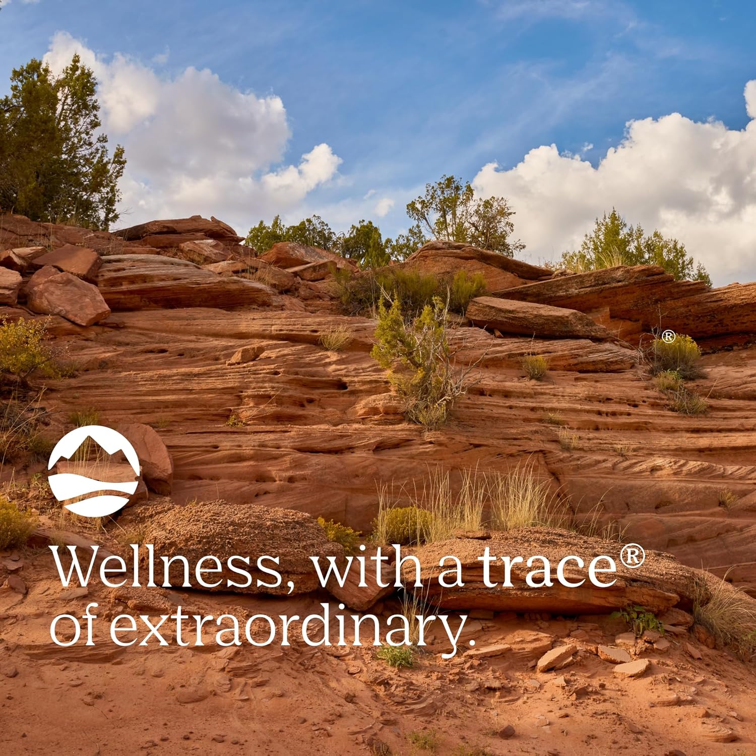 Grape Flavored Trace Minerals Magnesium Glycinate Drink Mix - Supports Digestion, Muscles, Immune System & Sleep - 120mg, 180g (60 Servings)