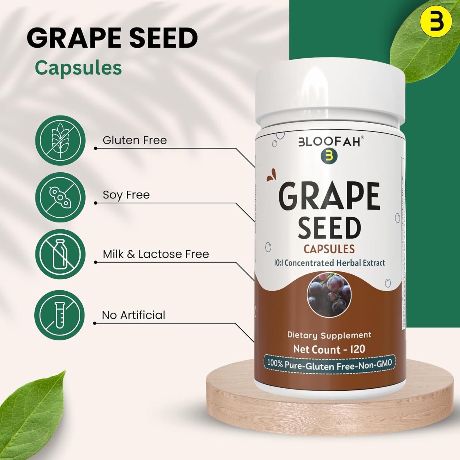 Grape Seed Extract Capsules 500mg | Concentrated 10:1 Vitis vinifera Seed Extract | Herbal Supplement for Wellness | Non-GMO, Gluten-Free (120 Count)