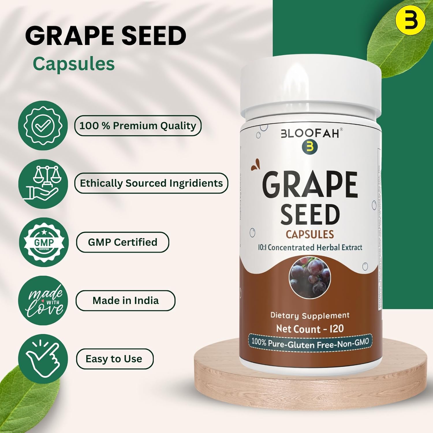 Grape Seed Extract Capsules 500mg | Concentrated 10:1 Vitis vinifera Seed Extract | Herbal Supplement for Wellness | Non-GMO, Gluten-Free (120 Count)