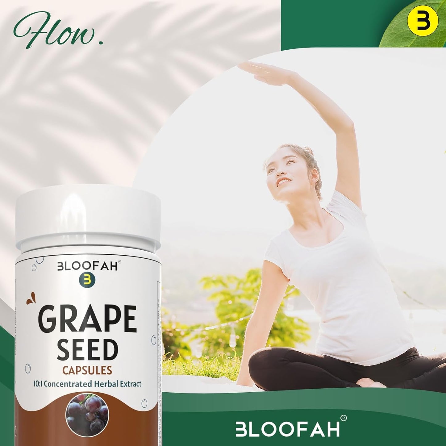 Grape Seed Extract Capsules 500mg | Concentrated 10:1 Vitis vinifera Seed Extract | Herbal Supplement for Wellness | Non-GMO, Gluten-Free (120 Count)