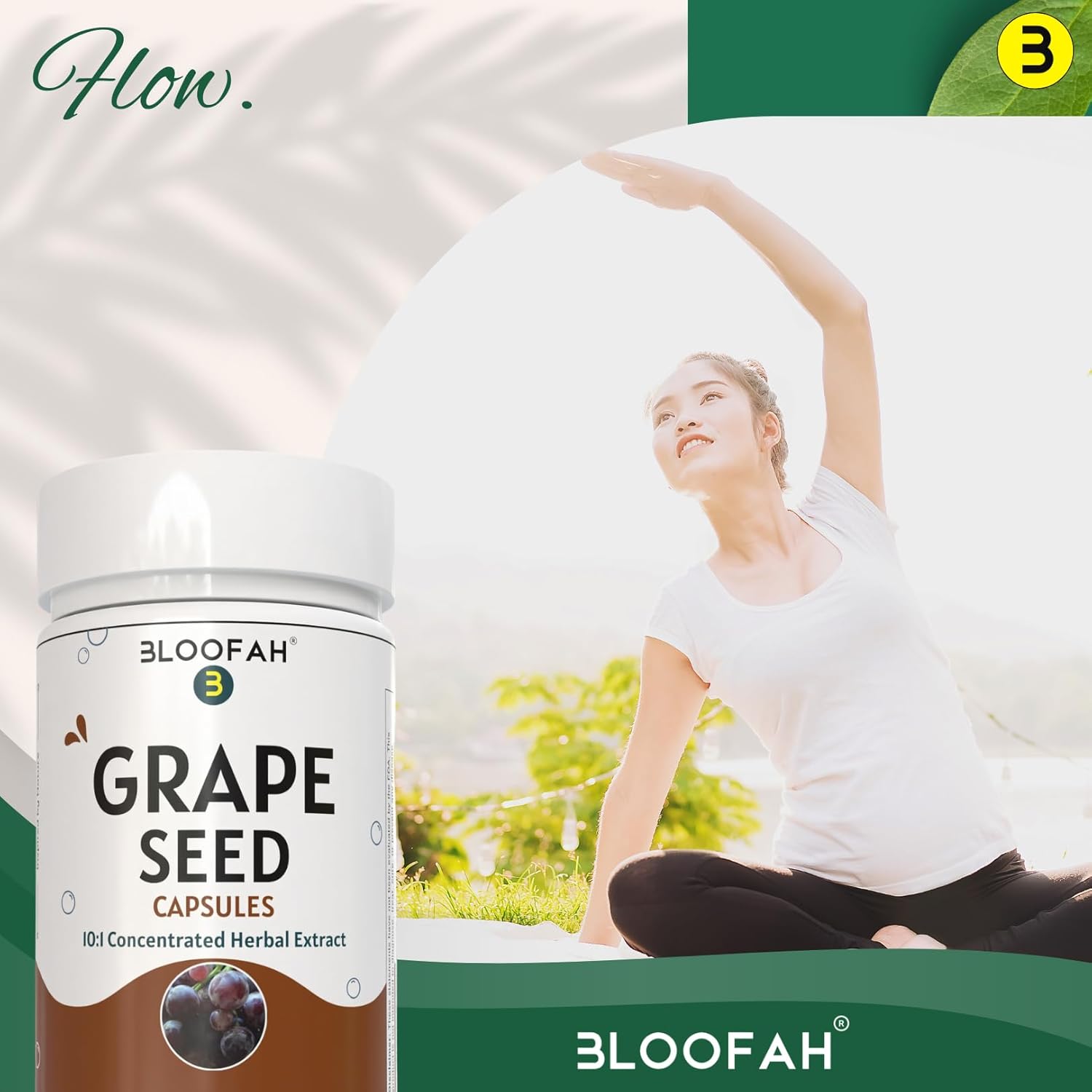 Grape Seed Extract Capsules 500mg | Concentrated 10:1 Vitis vinifera Seed Extract | Herbal Supplement for Wellness | Non-GMO, Gluten-Free (120 Count)