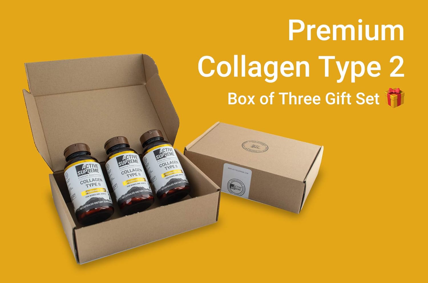 Grass Fed Beef Collagen Hydrolyzed Type 2 Capsules with Vitamin C and Hyaluronic Acid - 3 Pack for Joint and Cartilage Support