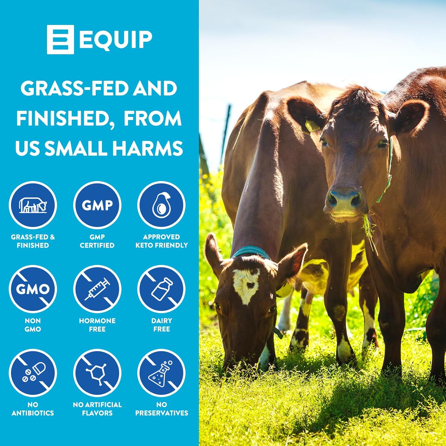 Grass-Fed Beef Liver and Organ Capsules for Improved Nutrition and Wellness