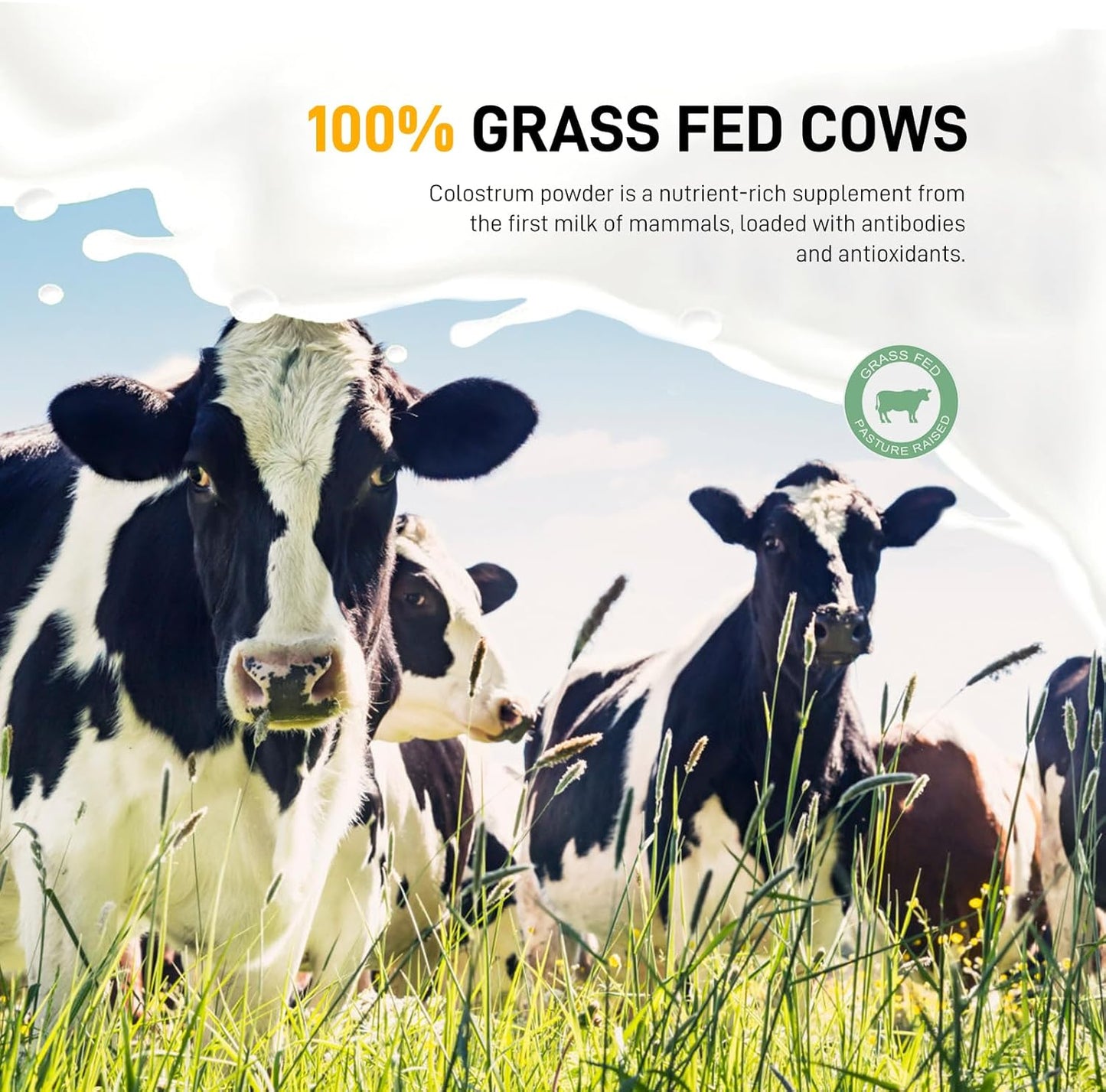 Grass Fed Bovine Colostrum Powder for Gut Support, Immune Health & Hair Growth - 6.35 oz Liposomal Supplement