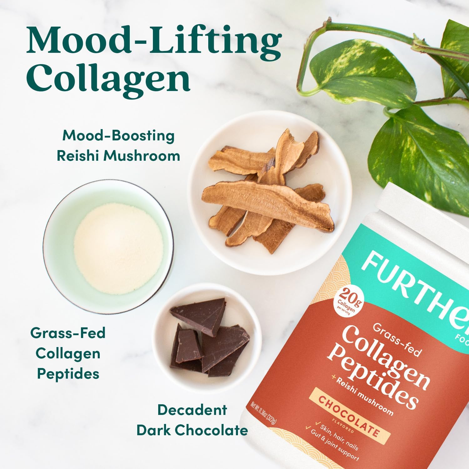 Grass-Fed Chocolate Collagen Peptides Powder for Gut Health & Joint Support, Paleo & Keto Friendly, 11.36 oz