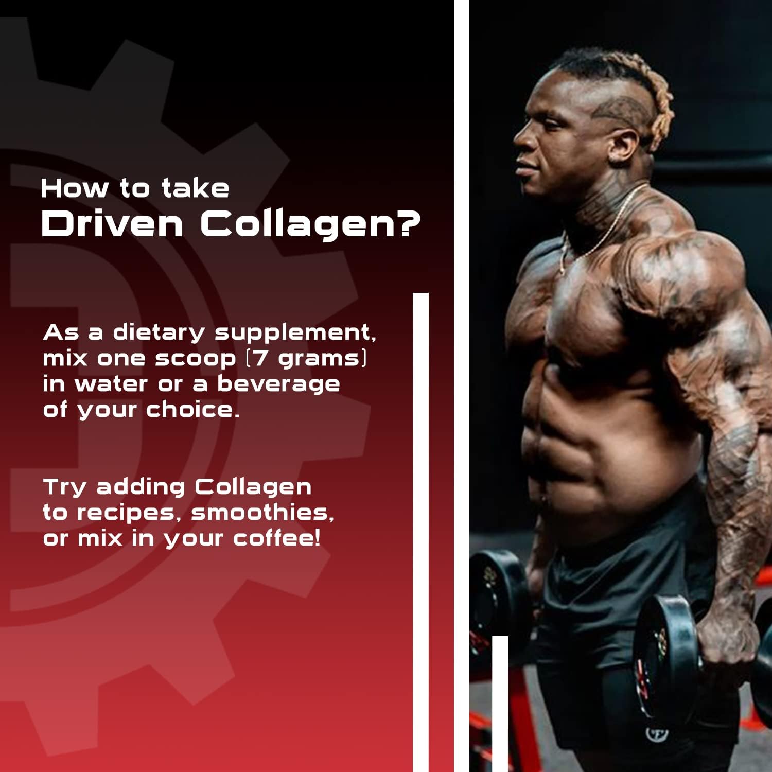 Grass-Fed Collagen Peptides Powder with Digestive Enzymes for Healthy Skin, Hair, Nails, and Joints
