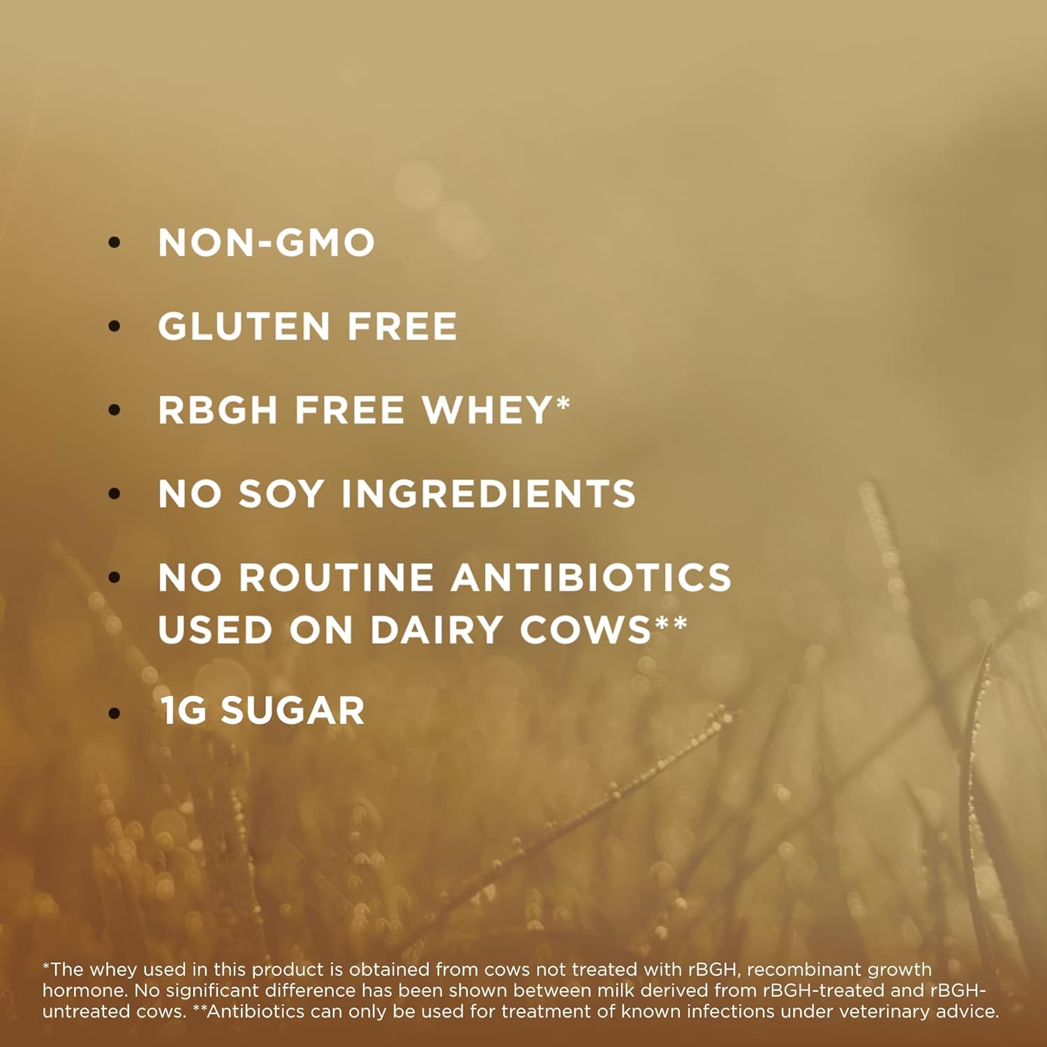 Grass-Fed Vanilla Whey Protein Powder - Non-GMO, Gluten-Free - 2 lb - 36 Servings