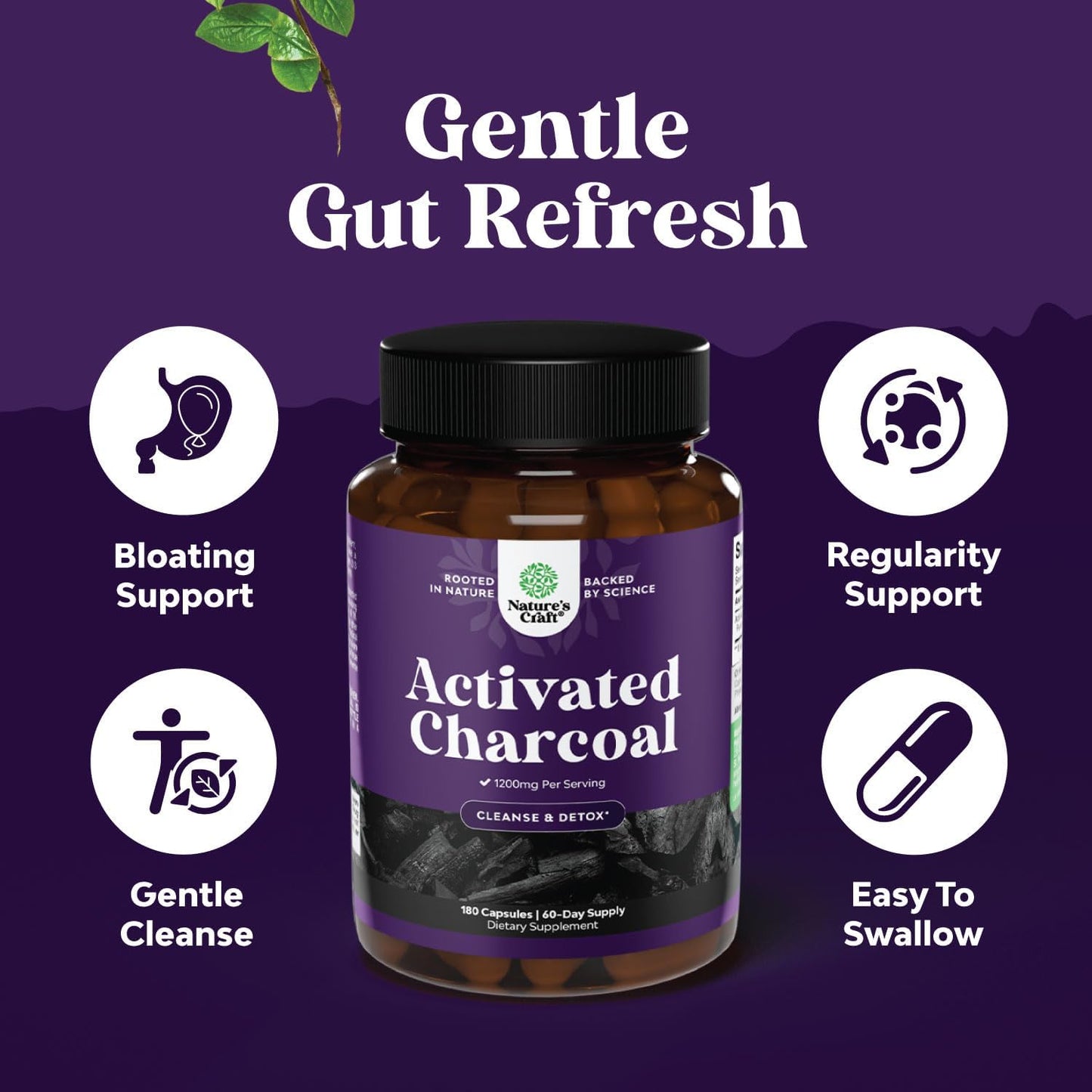 Green Coffee Bean Extract Bundle for Heart Health, Mental Focus, Size Reduction, and Detox with Activated Charcoal Capsules for Bloating Relief and Body Cleanse