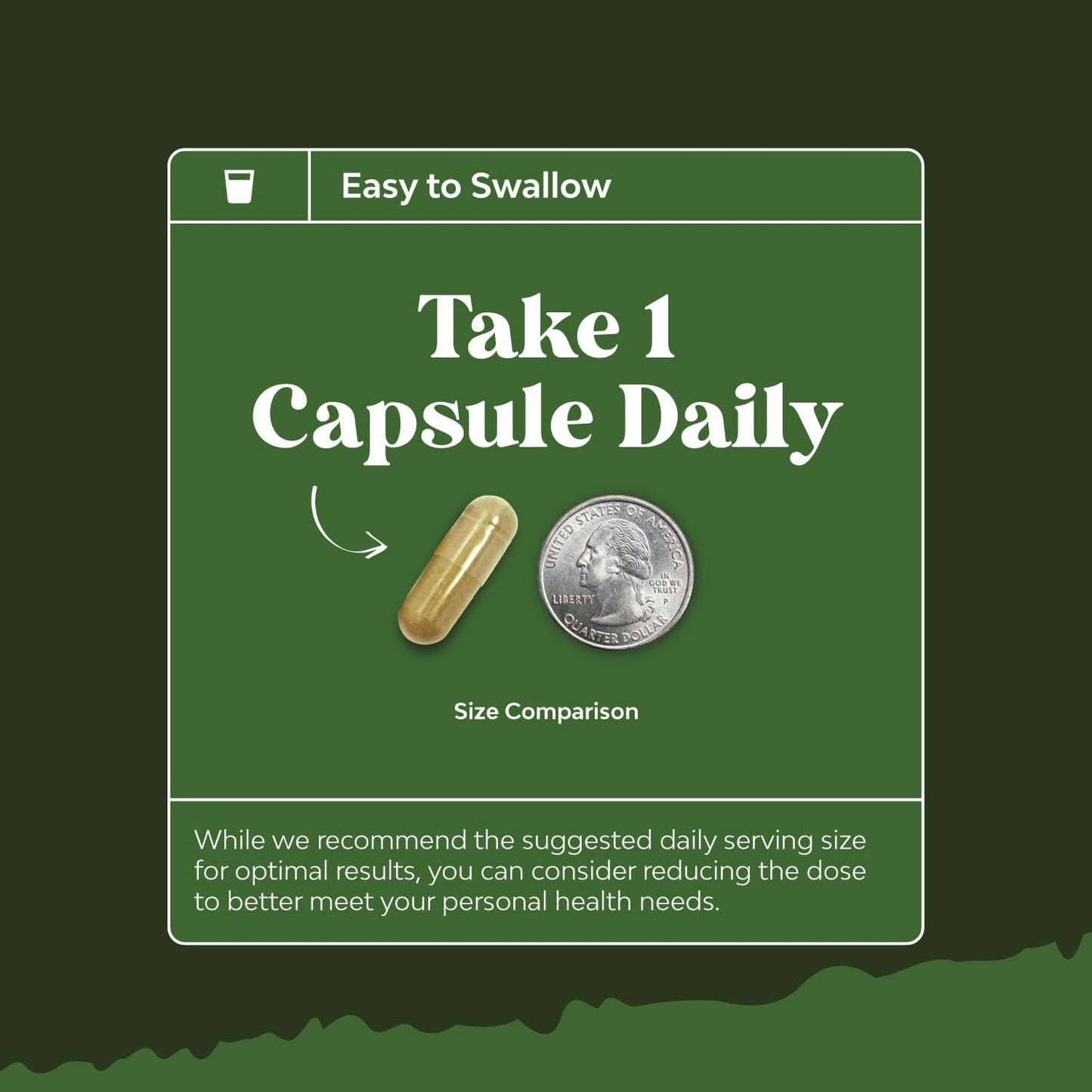 Green Coffee Bean Extract Bundle for Heart Health, Mental Focus, Size Reduction, and Detox with Activated Charcoal Capsules for Bloating Relief and Body Cleanse