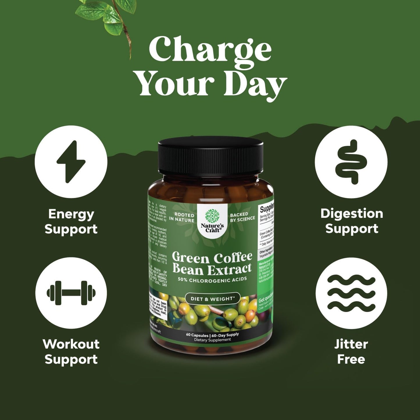 Green Coffee Bean Extract & Prebiotic Fiber Gummies Bundle for Heart Health, Mental Focus, Slimming Formula, Immunity, and Digestive Support