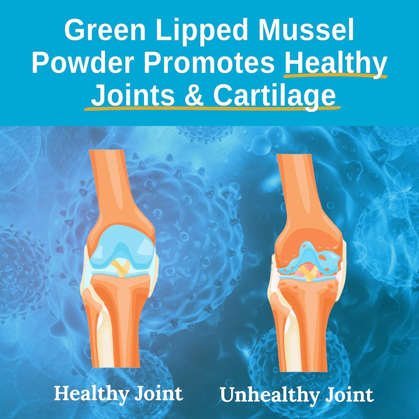 Green Lipped Mussel Powder Supplement 2400mg with Omega-3 for Joint Health - 120 Capsules (3 Pack)