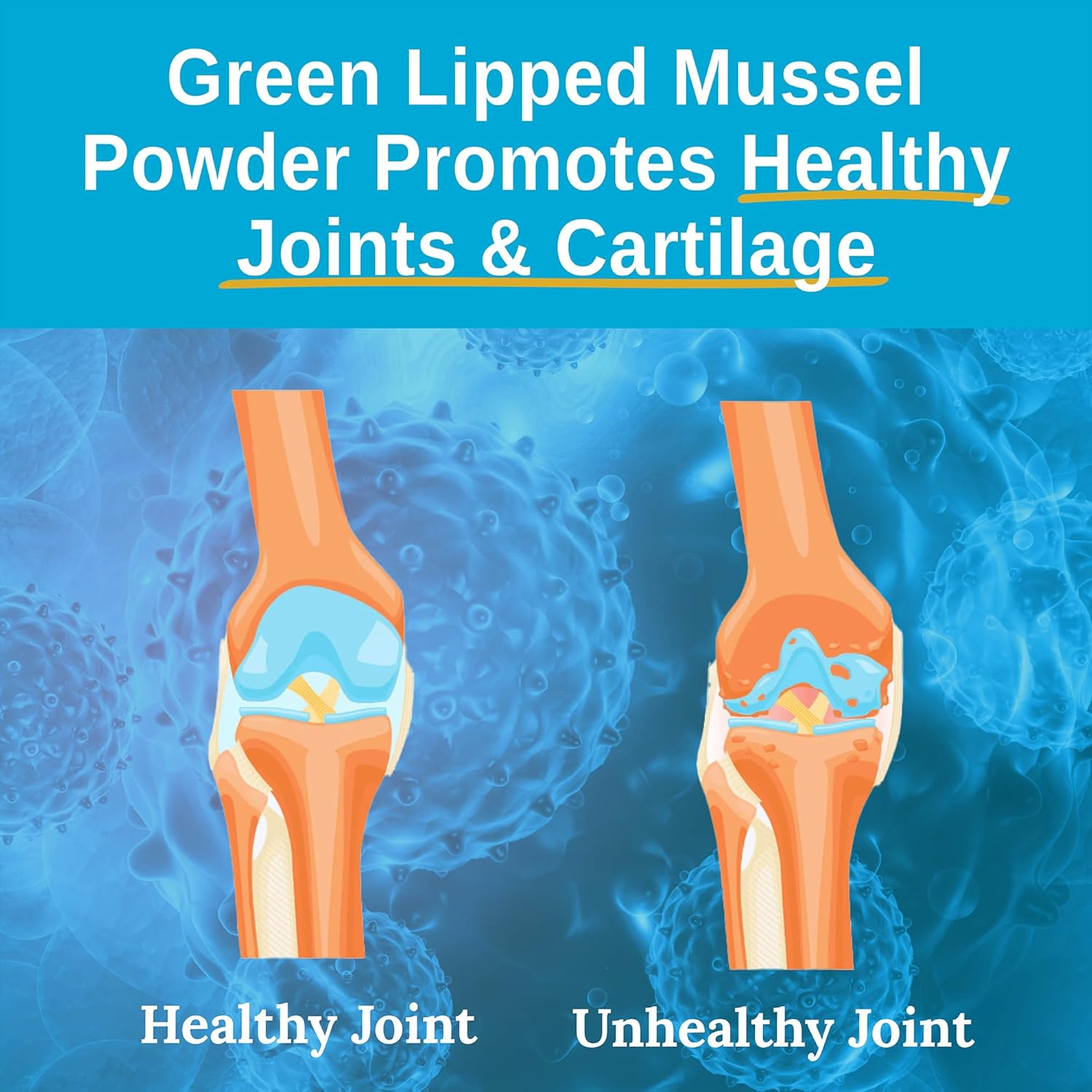 Green Lipped Mussel Powder Supplement 2400mg with Omega-3 for Joint Health - 120 Capsules (3 Pack)