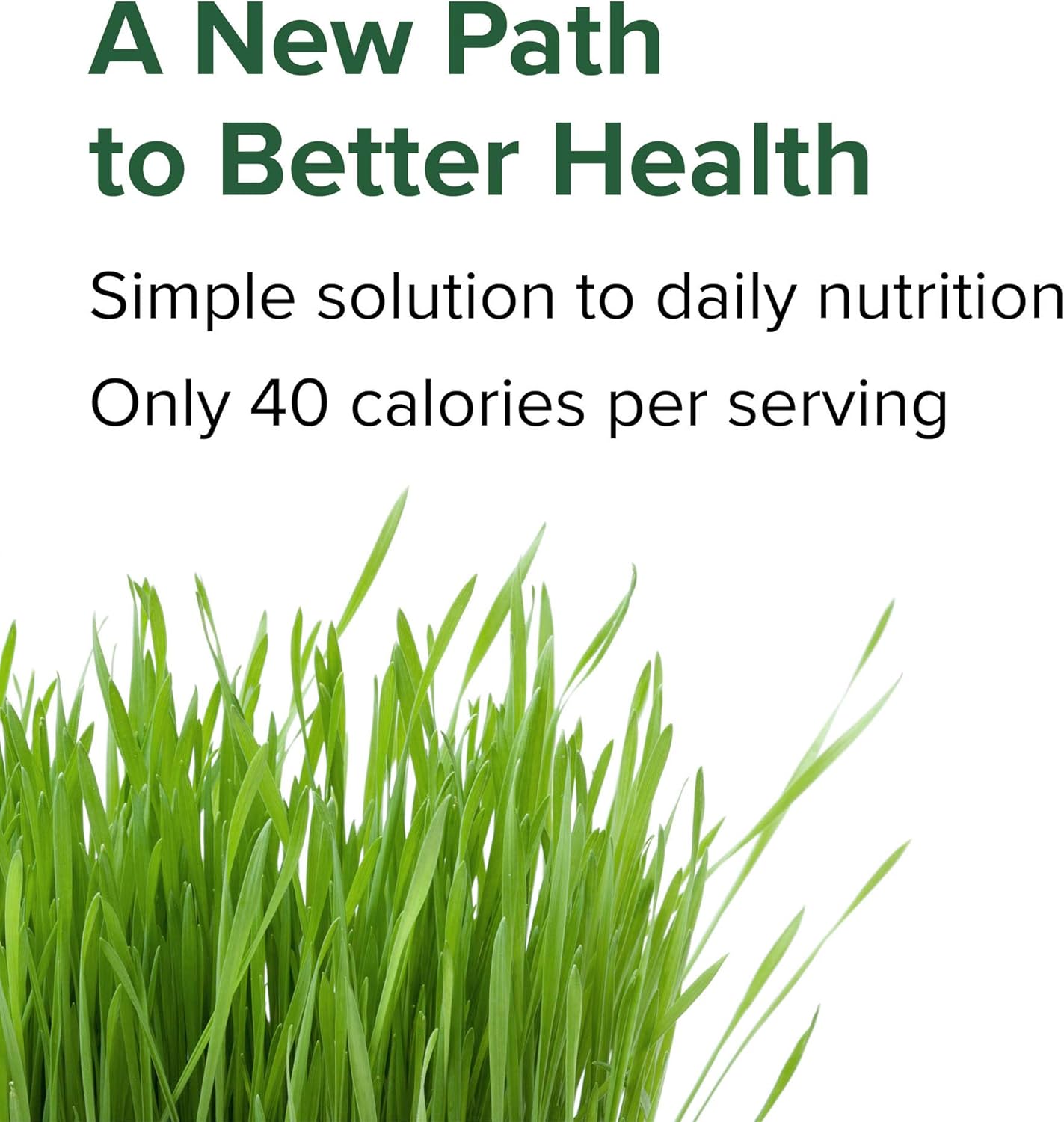 Green Vibrance Vegan Superfood Pills - 240 Count for Vibrant Health