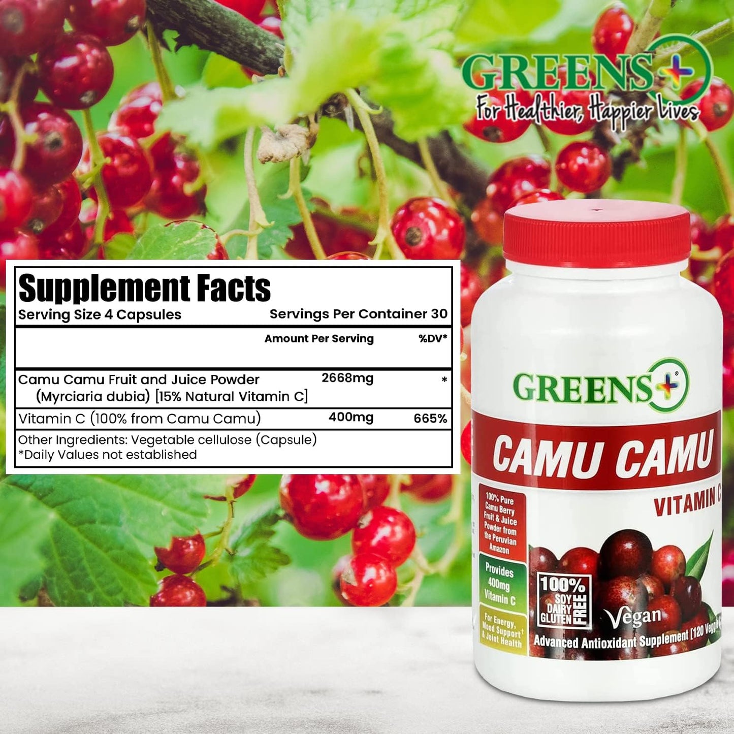 Greens+ Advanced Multi Raw Superfood Powder - Organic Blend with Camu Camu Vitamin C Supplement - Non-GMO, Soy/Dairy/Gluten Free - 120 Veggie Capsules