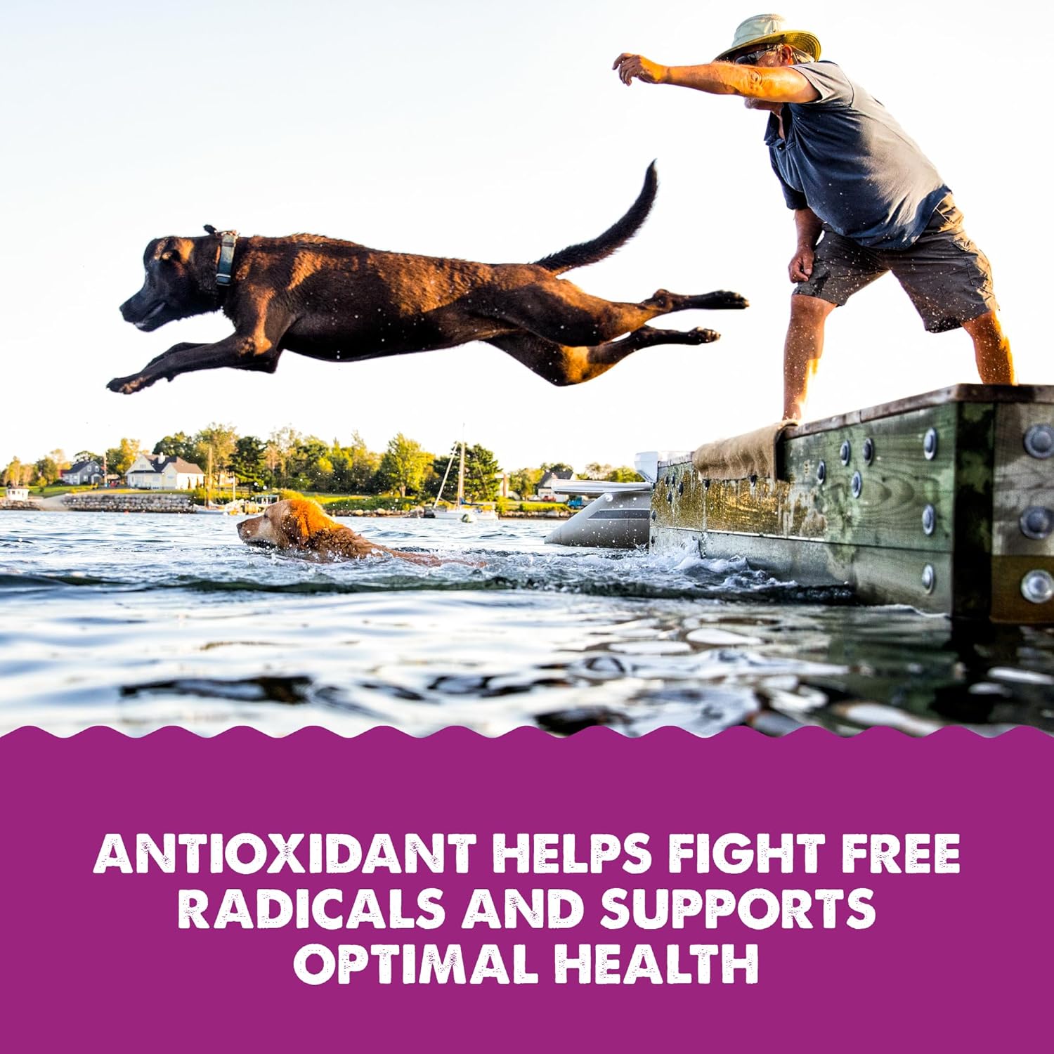 Grizzly Wild Antarctic Krill Oil Dog Food Supplement - Natural Antioxidant & Omega 3 Fatty Acids - 8 oz