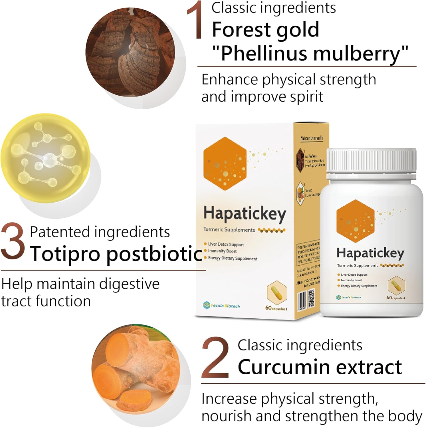 Gut Health Synbiotic with Turmeric Curcumin Supplement Combo Pack - 30 Capsules & 60 Capsules