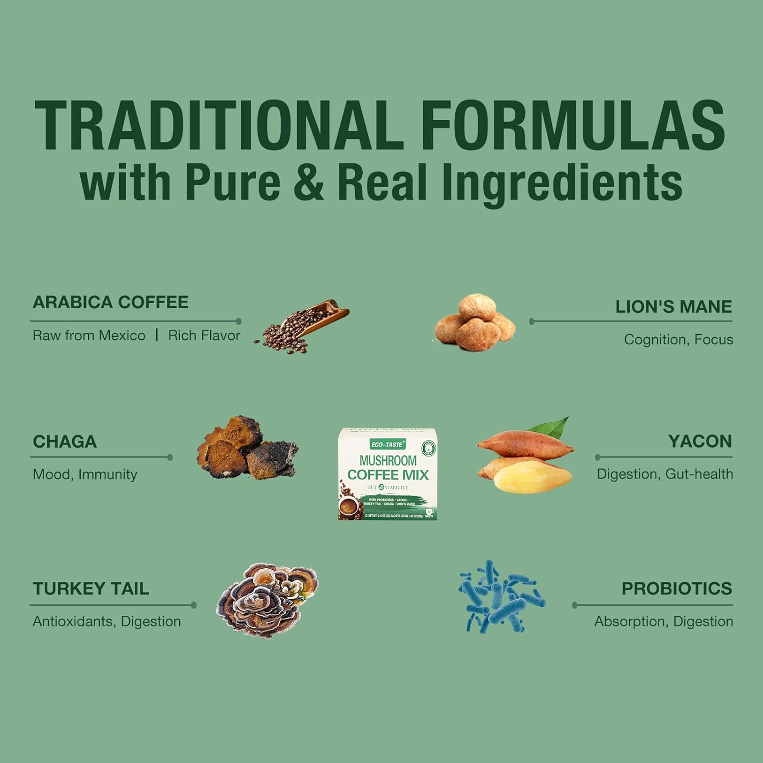 Gut-Healthy Mushroom Coffee Mix with Chaga, Lion's Mane, Turkey Tail, Yacon, Probiotics - 12 Sachets