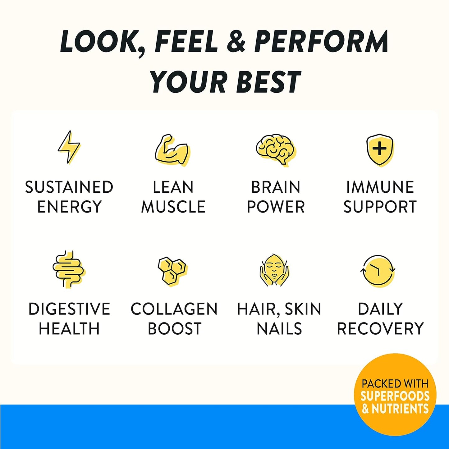 Happy Viking Vanilla Bean Vegan Plant Protein Shakes by Venus Williams - 20g Protein, Omega-3, 9 Amino Acids, BCAAs - Gluten-Free, Non-GMO, Ready to Drink - Pack of 12 (11oz)