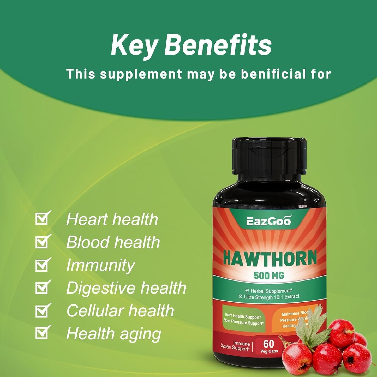 Hawthorn Berry Capsules - Vegan Antioxidant and Circulation Support Supplement (60 Capsules)