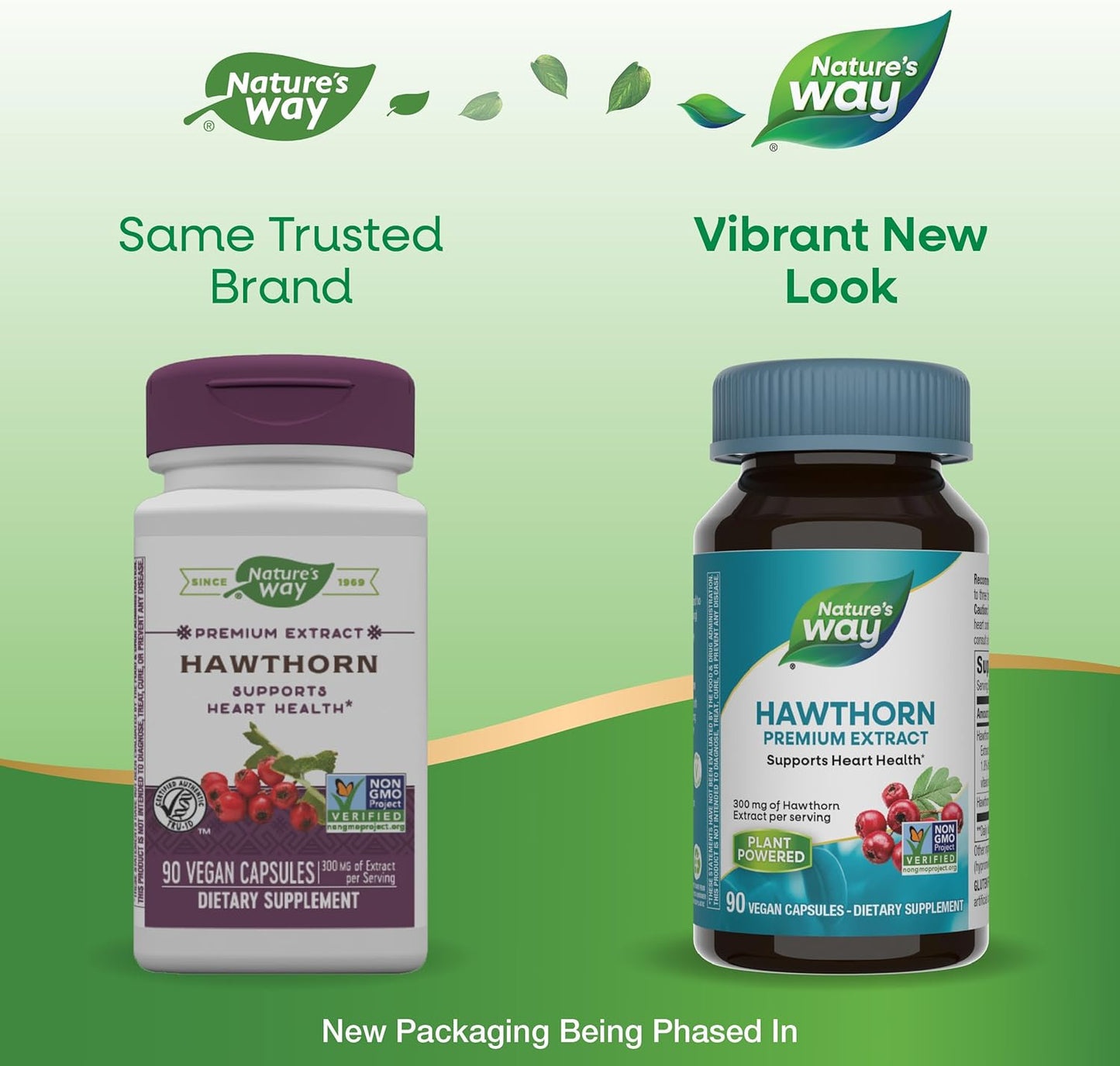 Hawthorn Premium Extract Capsules for Heart Health Support - 90 Count, Non-GMO, Vegan, 1.8% Flavonoids