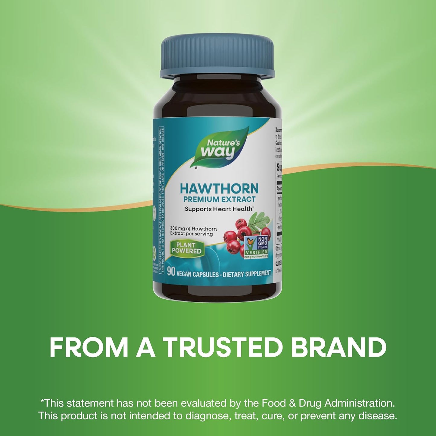 Hawthorn Premium Extract Capsules for Heart Health Support - 90 Count, Non-GMO, Vegan, 1.8% Flavonoids