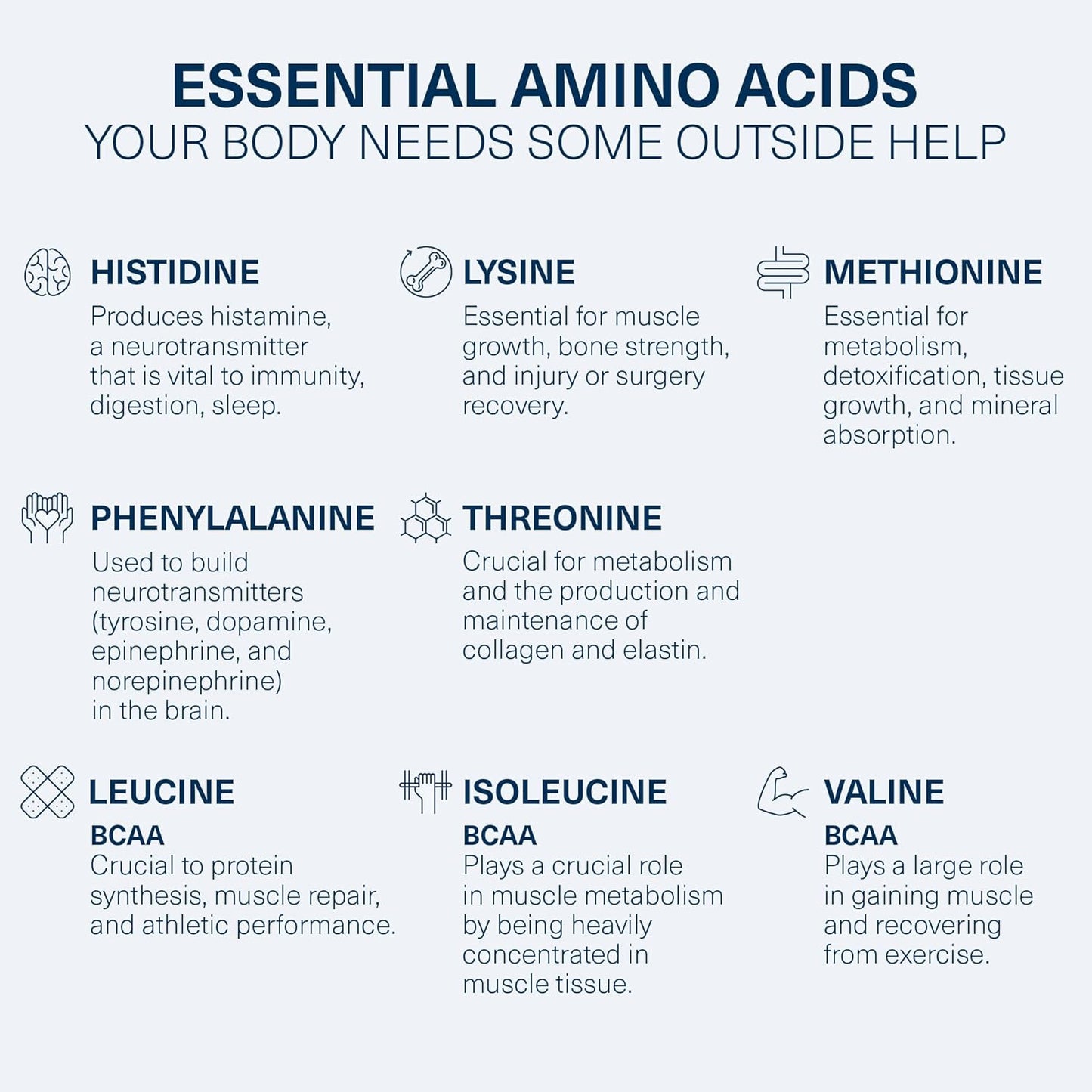 Heal EAA Amino Acid Recovery Drink with Creatine Monohydrate Powder - Vegan & Keto-Friendly - Sour Apple Flavor - 10.89oz