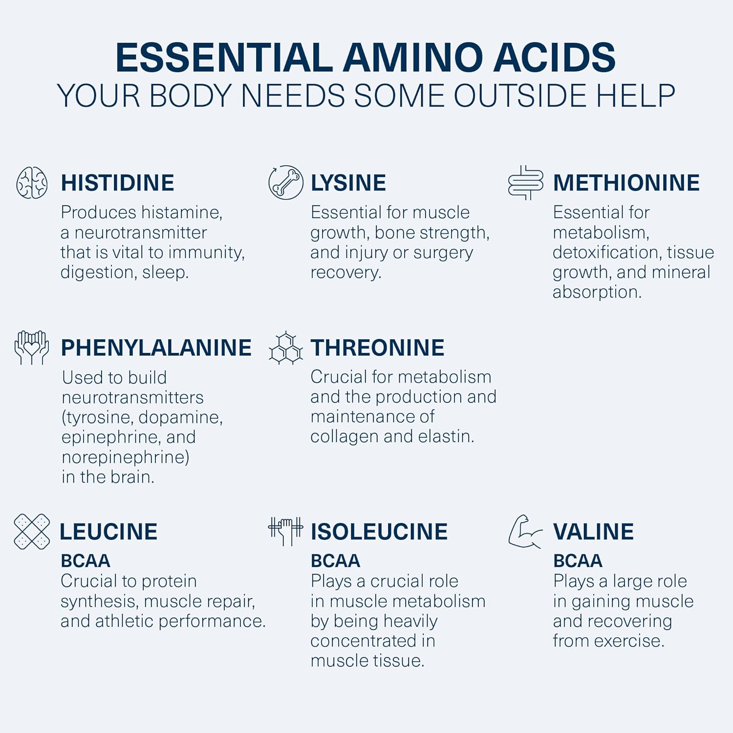 Heal EAA Amino Acid Recovery Drink with Creatine Monohydrate Powder - Vegan & Keto-Friendly - Sour Apple Flavor - 10.89oz