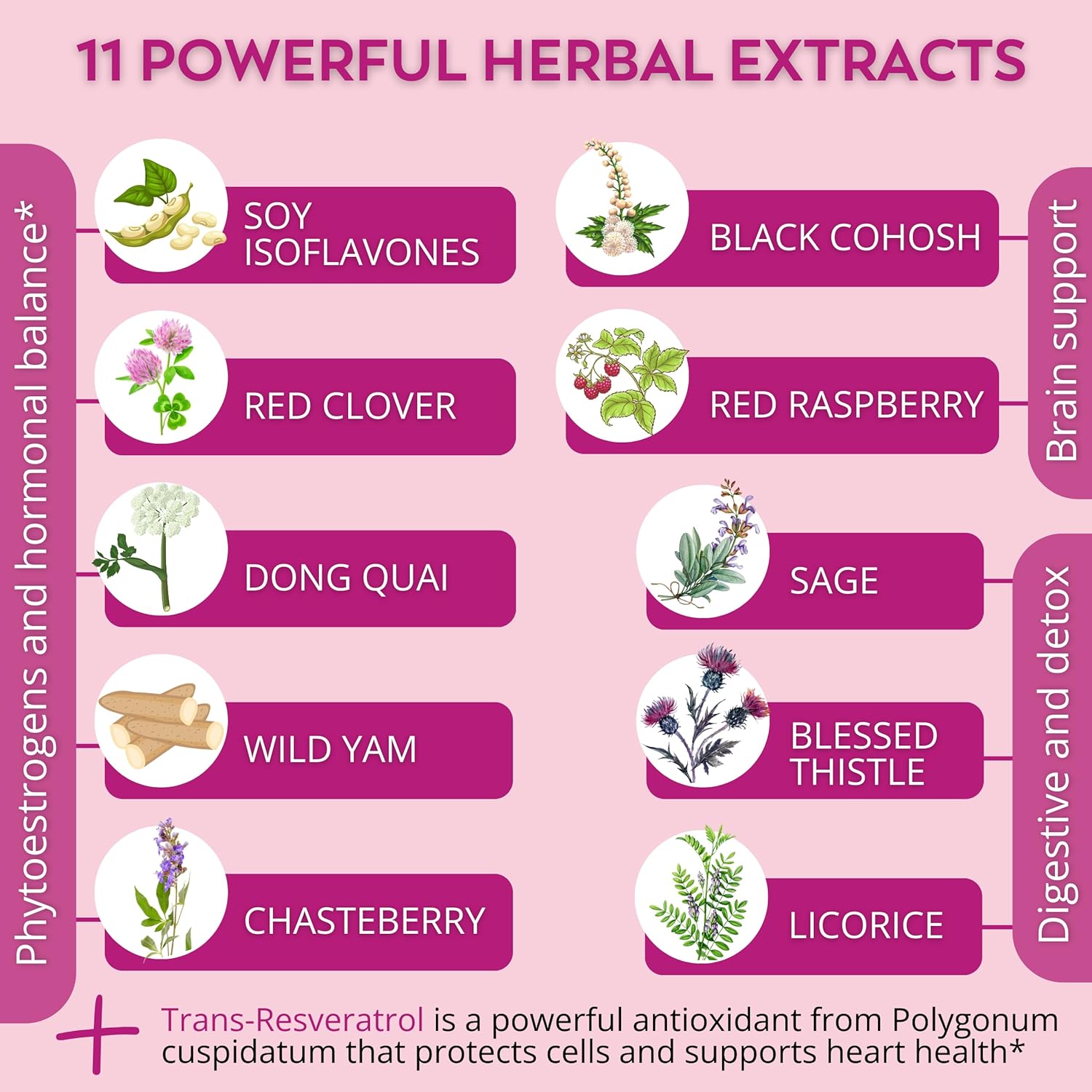 Healblend Women’s Support Complex: Advanced Formula for Menopause Symptoms - Hormone Regulation - 60 Capsules