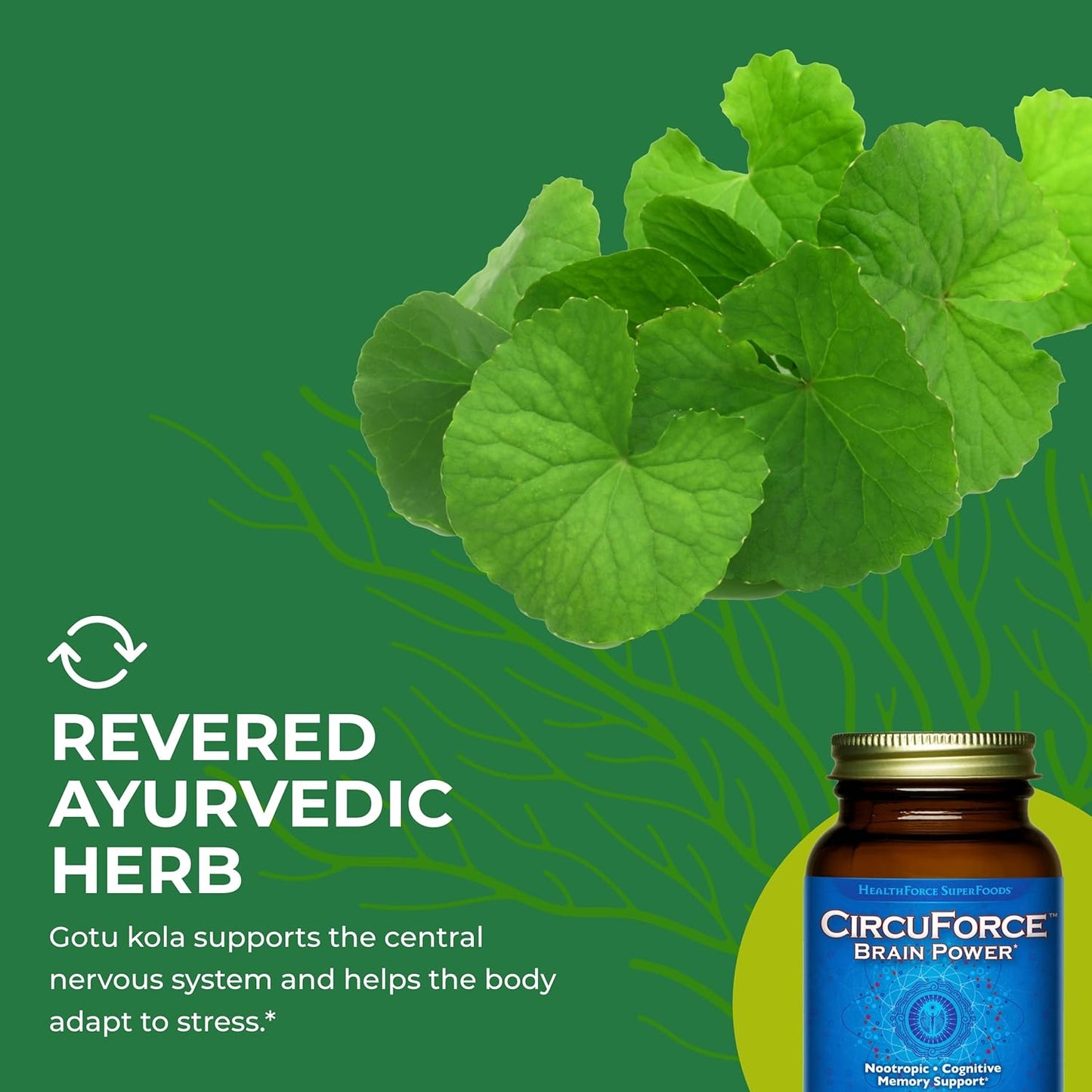 HealthForce SuperFoods CircuForce Brain Power Supplement - 90 Vegan Capsules