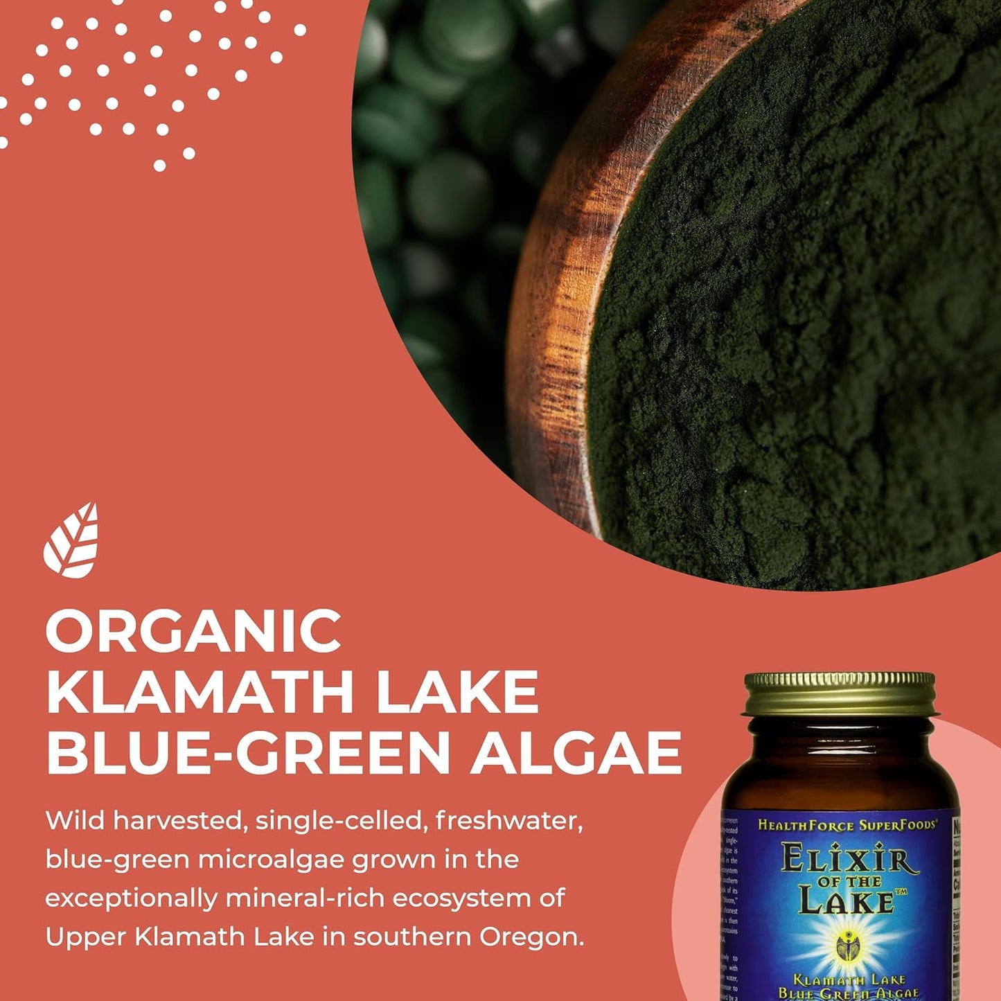 HealthForce SuperFoods Elixir of The Lake - 50g Jar - Organic Blue-Green Algae Supplement