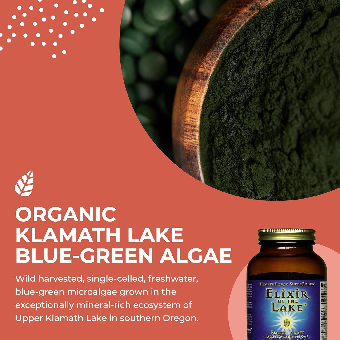 HealthForce SuperFoods Elixir of The Lake Superfood Powder - 150 g for Optimal Health