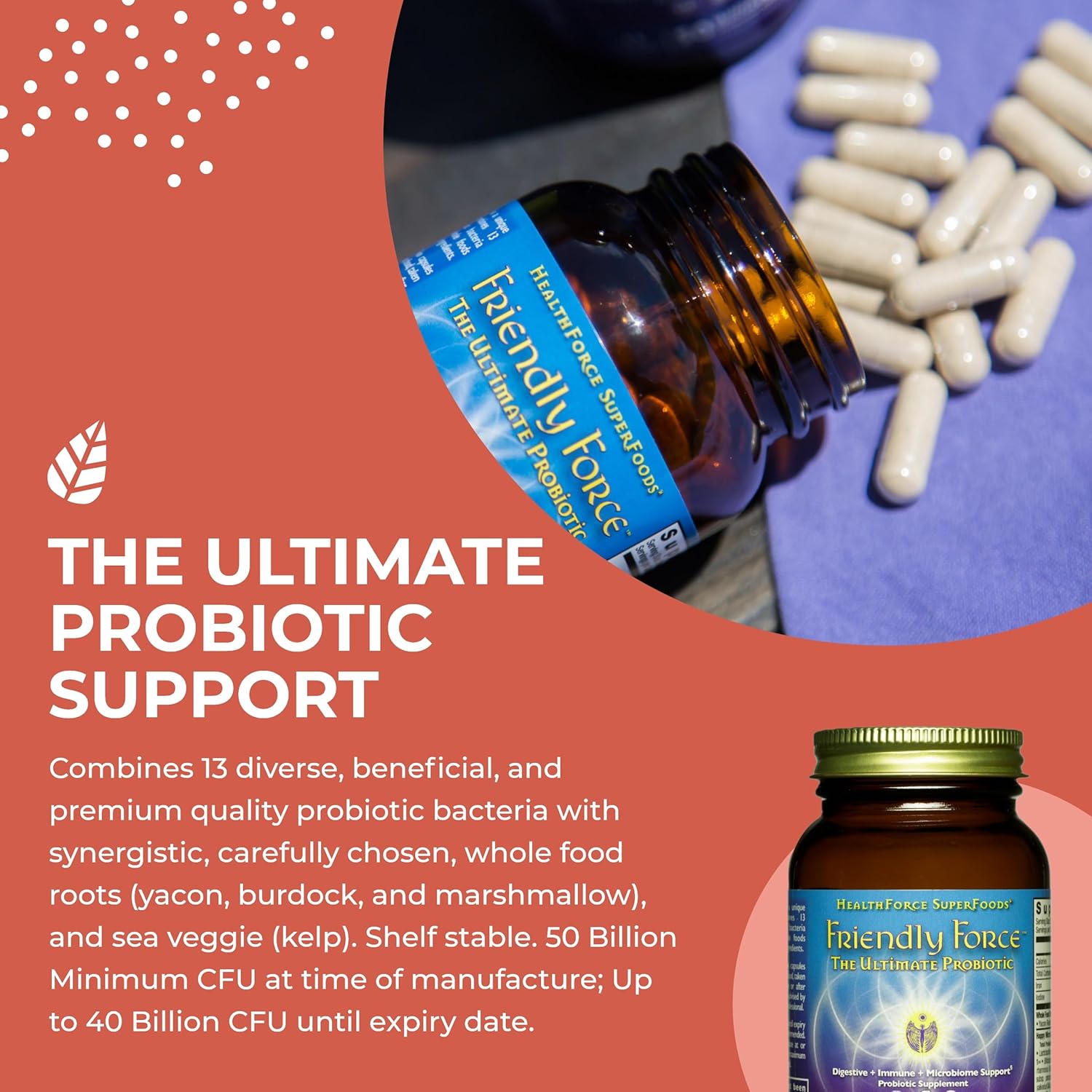 HealthForce SuperFoods Friendly Force - Vegan Capsules - 60 Count