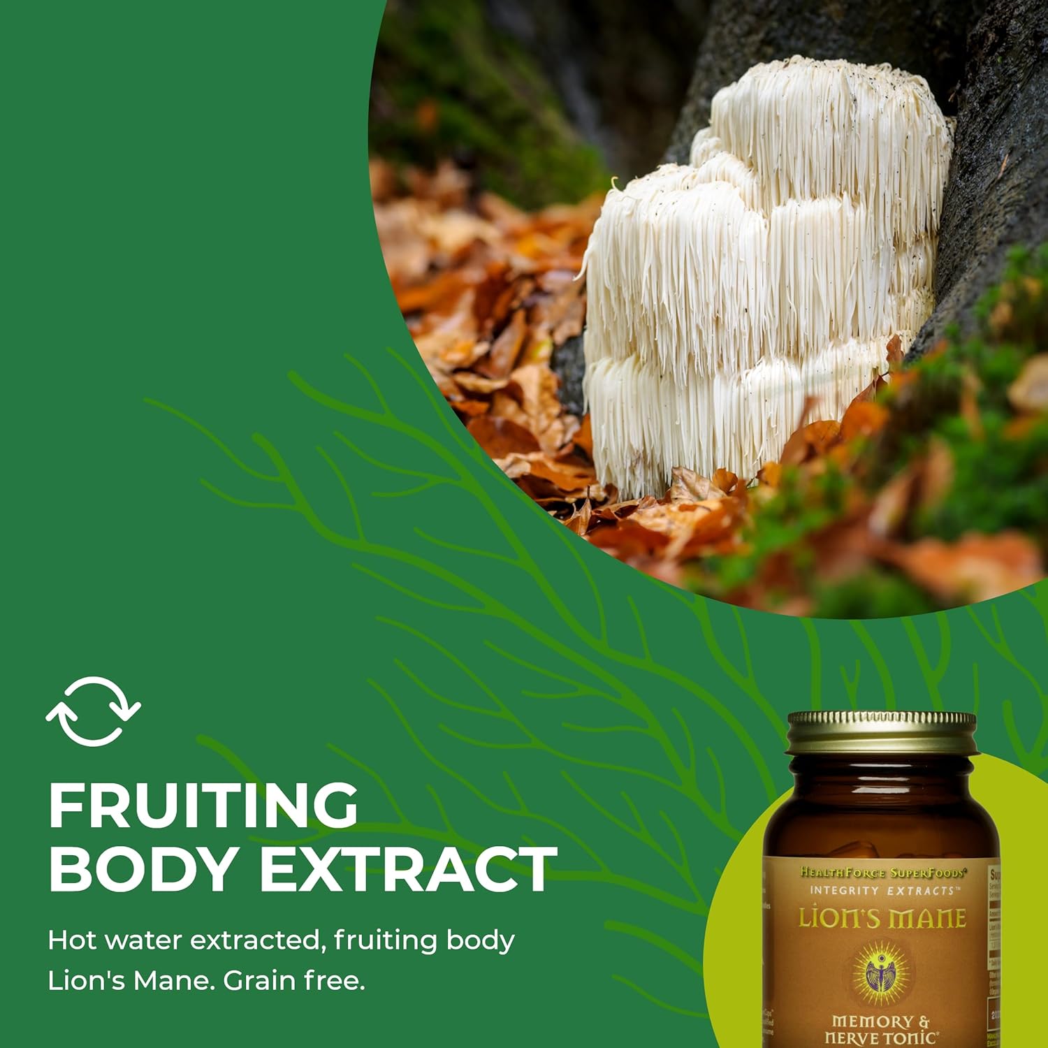 HealthForce SuperFoods Integrity Extracts Lion's Mane Capsules - 90 Count Vegan Capsules for Cognitive Support