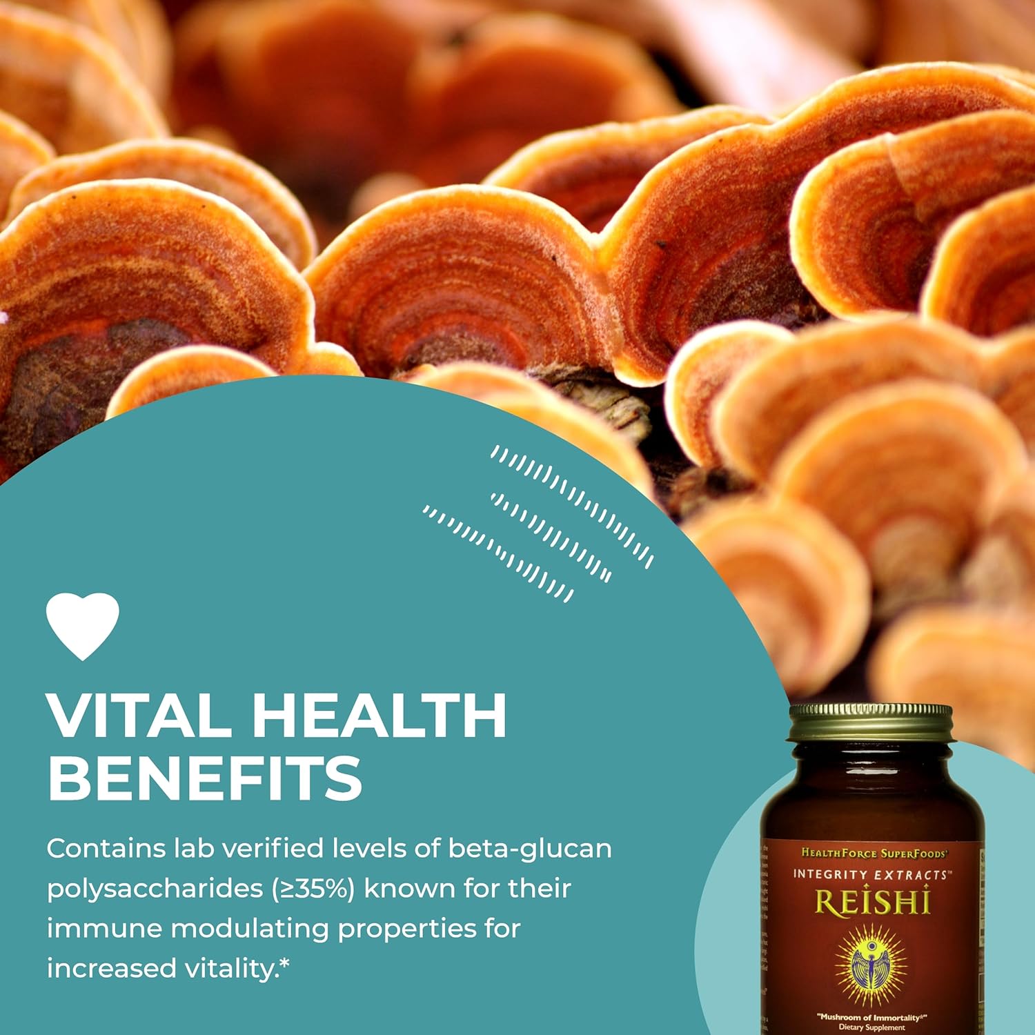 HealthForce SuperFoods Integrity Extracts Reishi Powder - 65g - Organic Mushroom Supplement