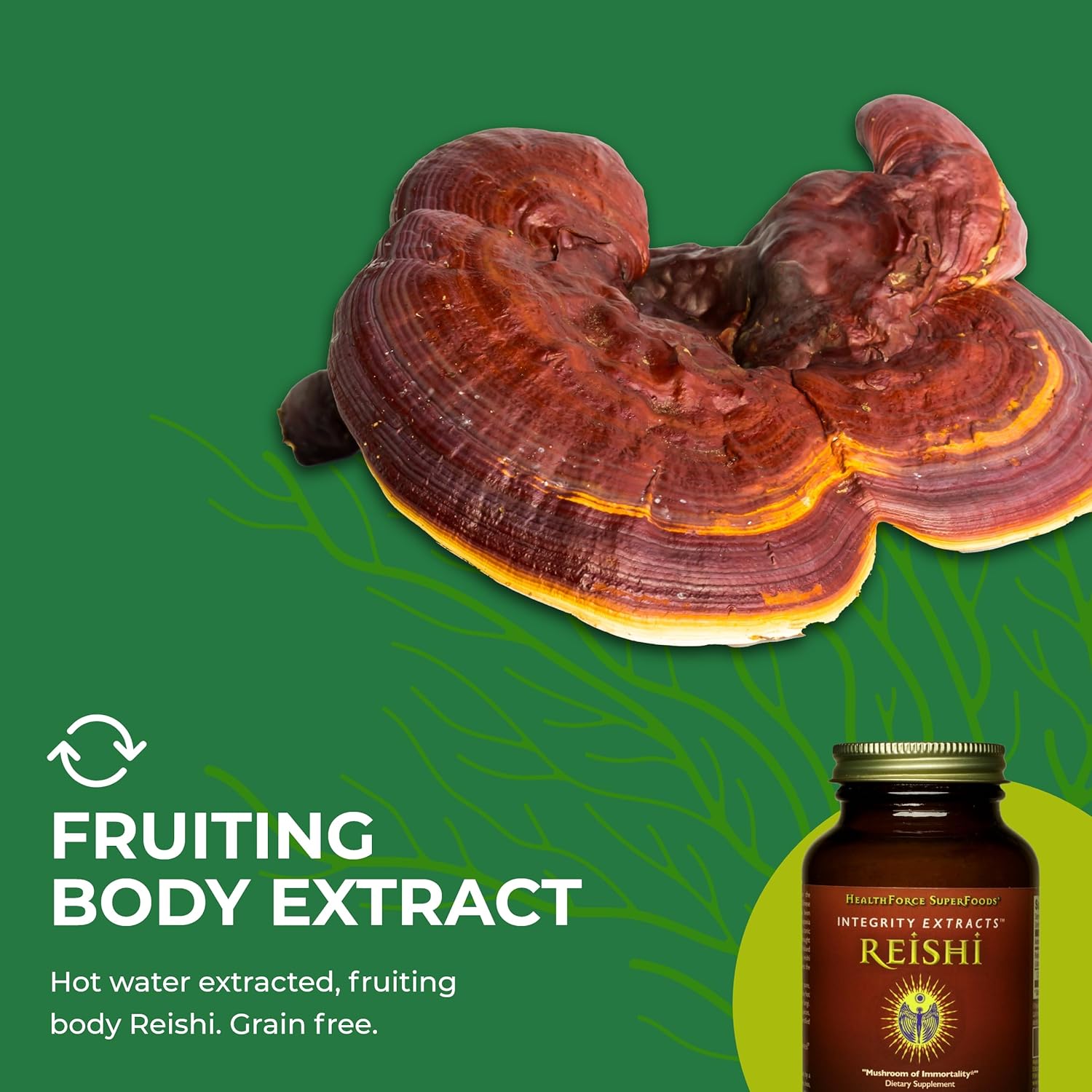 HealthForce SuperFoods Integrity Extracts Reishi Powder - 65g - Organic Mushroom Supplement