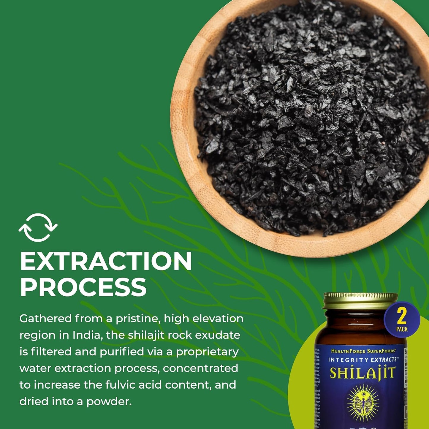 HealthForce SuperFoods Shilajit 240 VeganCaps - 2 Pack